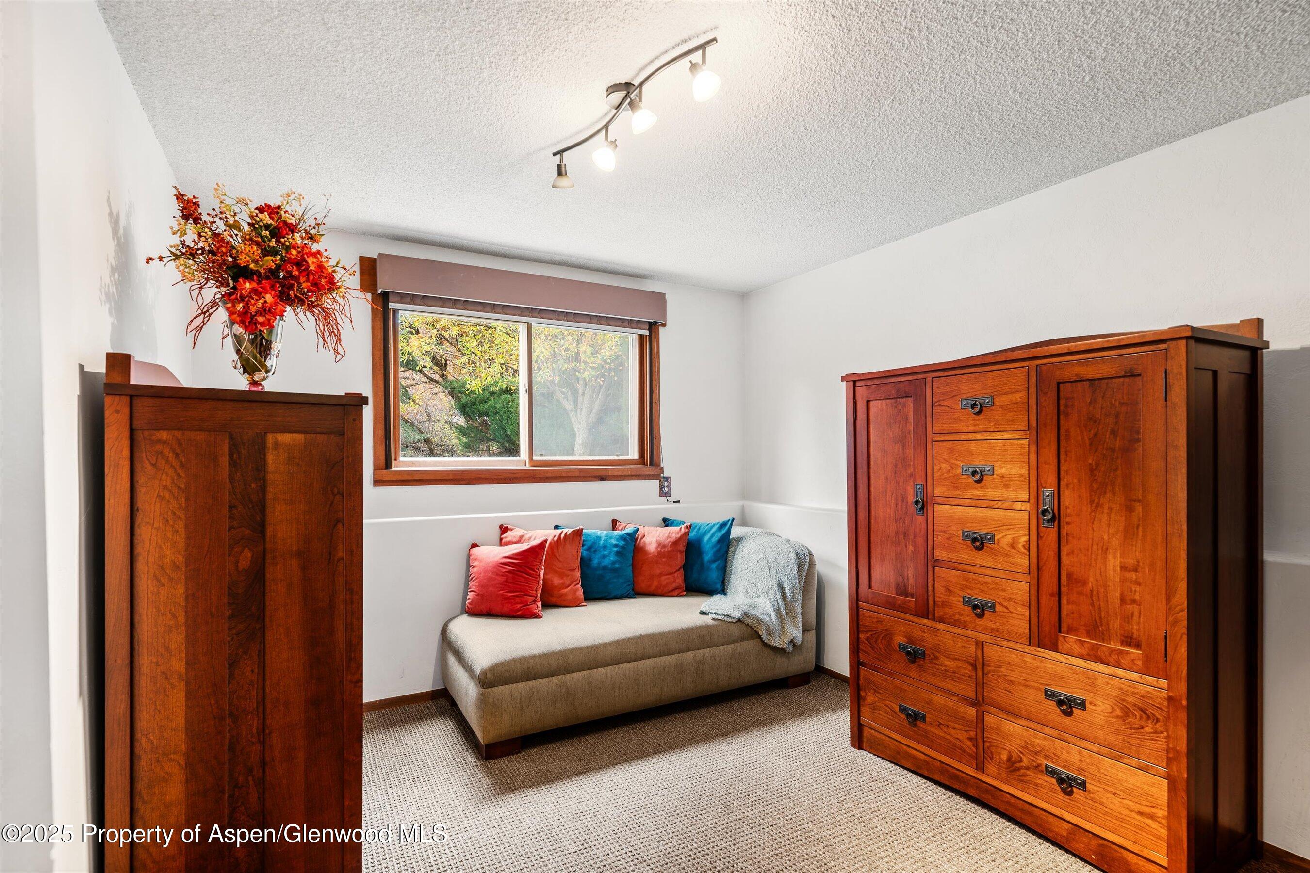 46 Alpine Court Glenwood Springs CO 81601