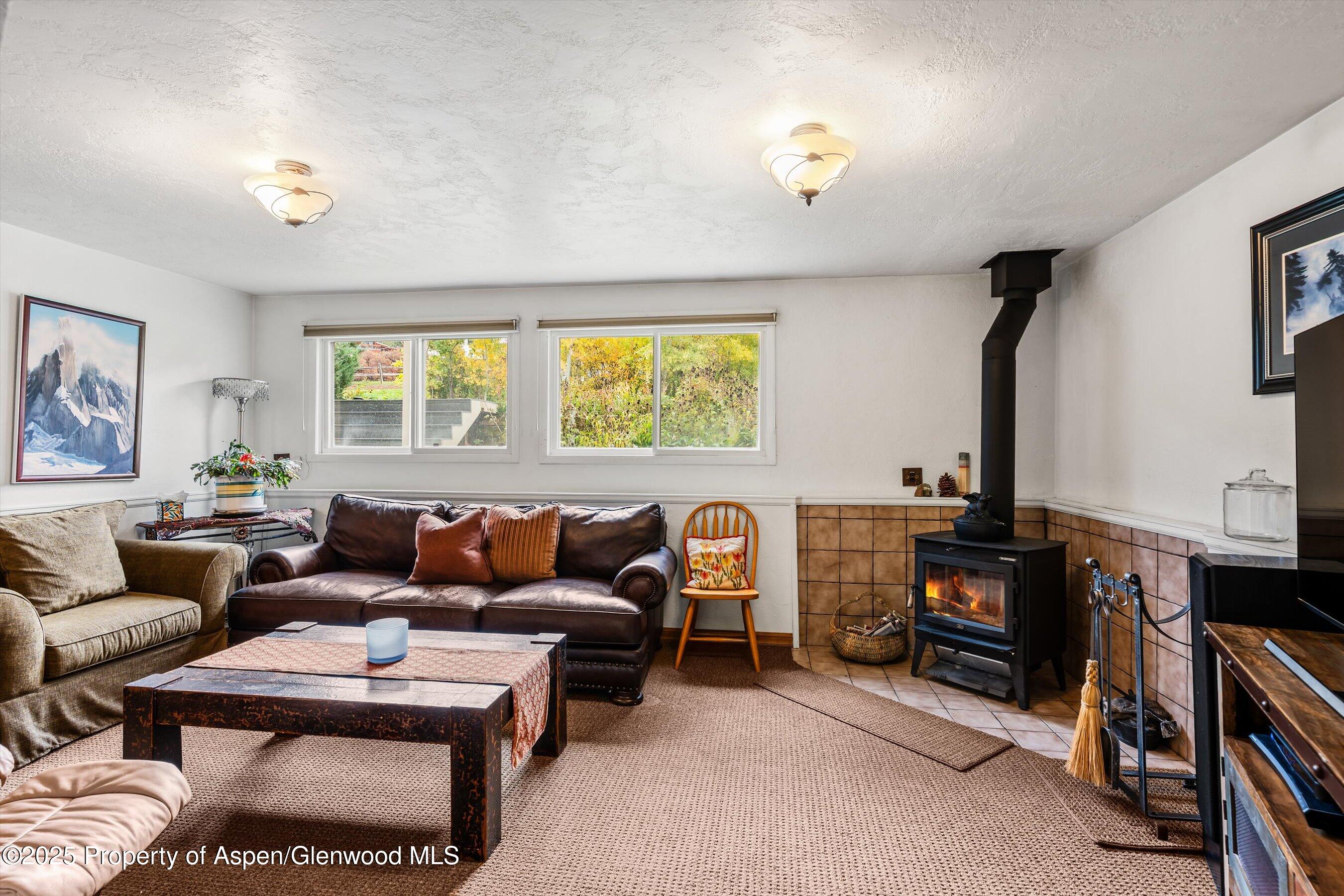 46 Alpine Court Glenwood Springs CO 81601