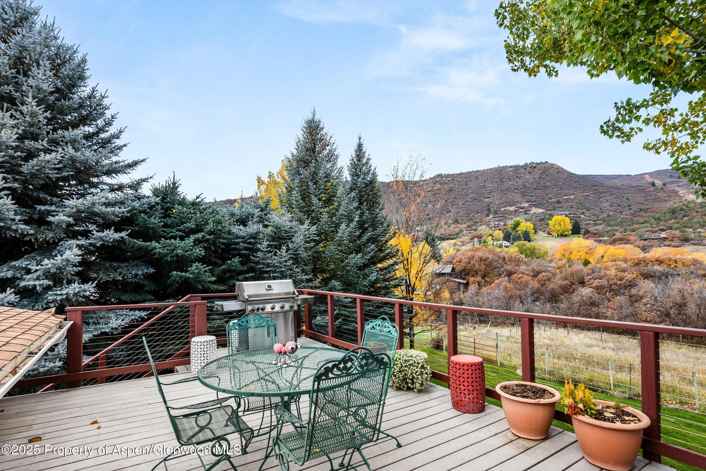 46 Alpine Court Glenwood Springs CO 81601