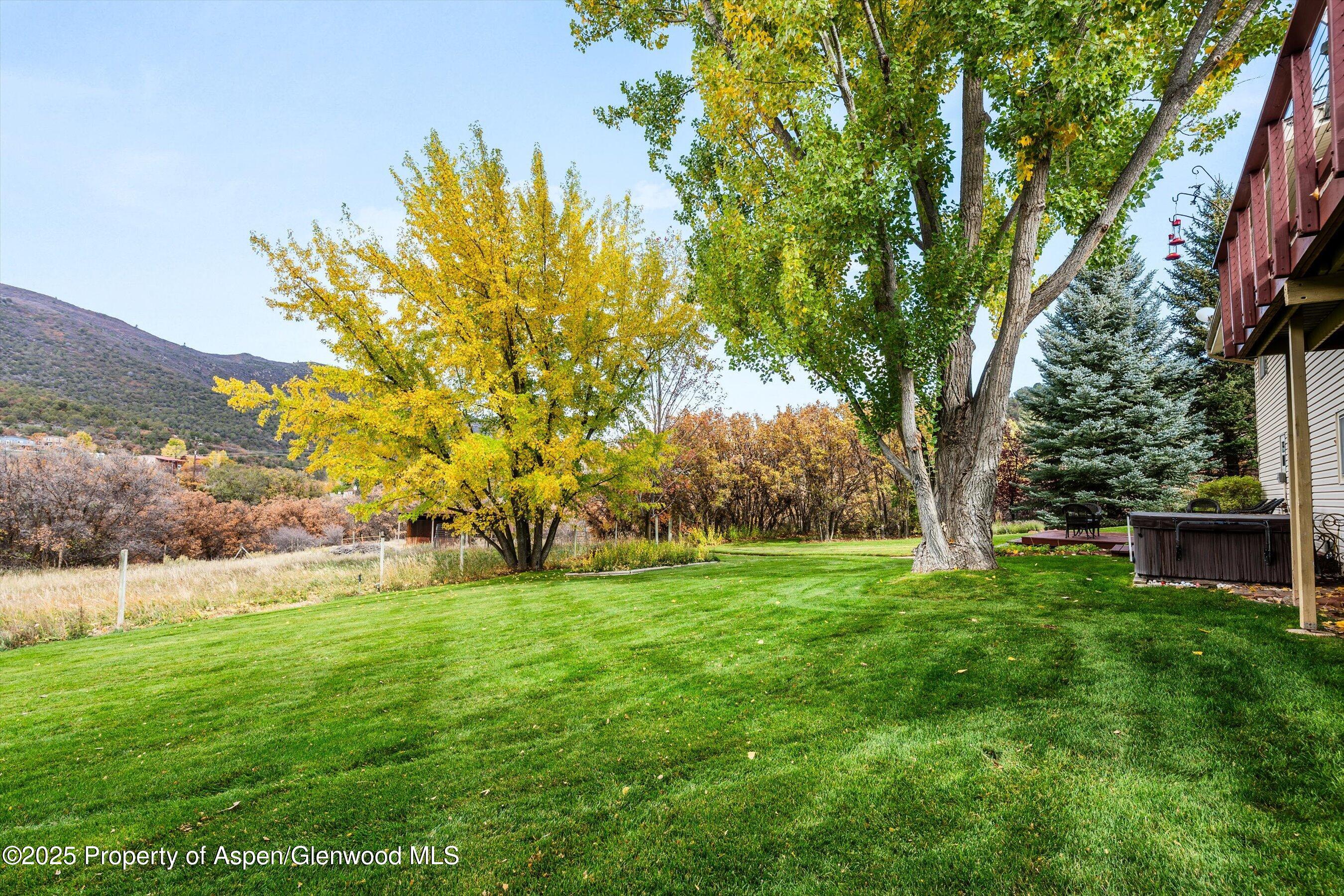 46 Alpine Court Glenwood Springs CO 81601