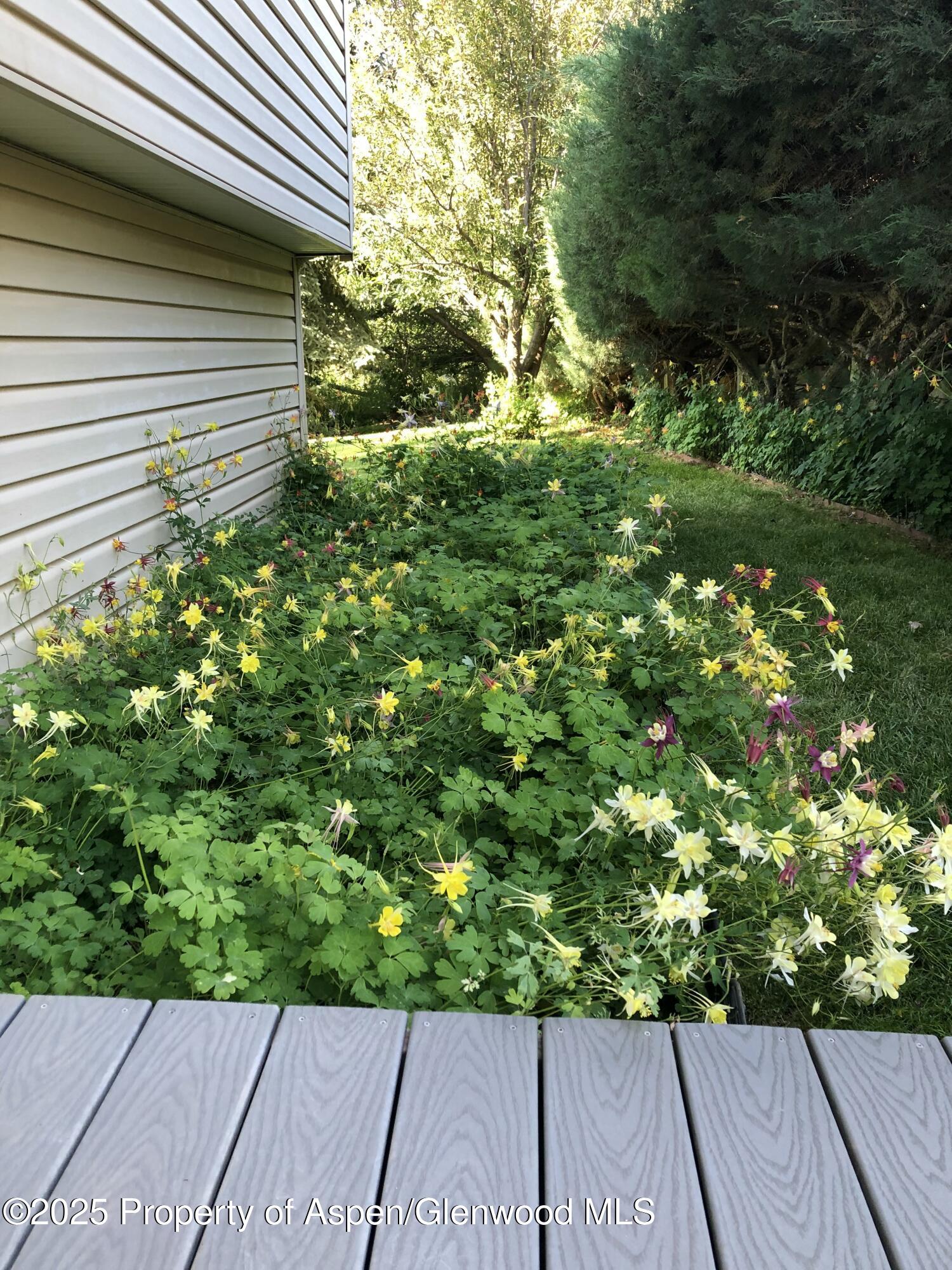 46 Alpine Court Glenwood Springs CO 81601