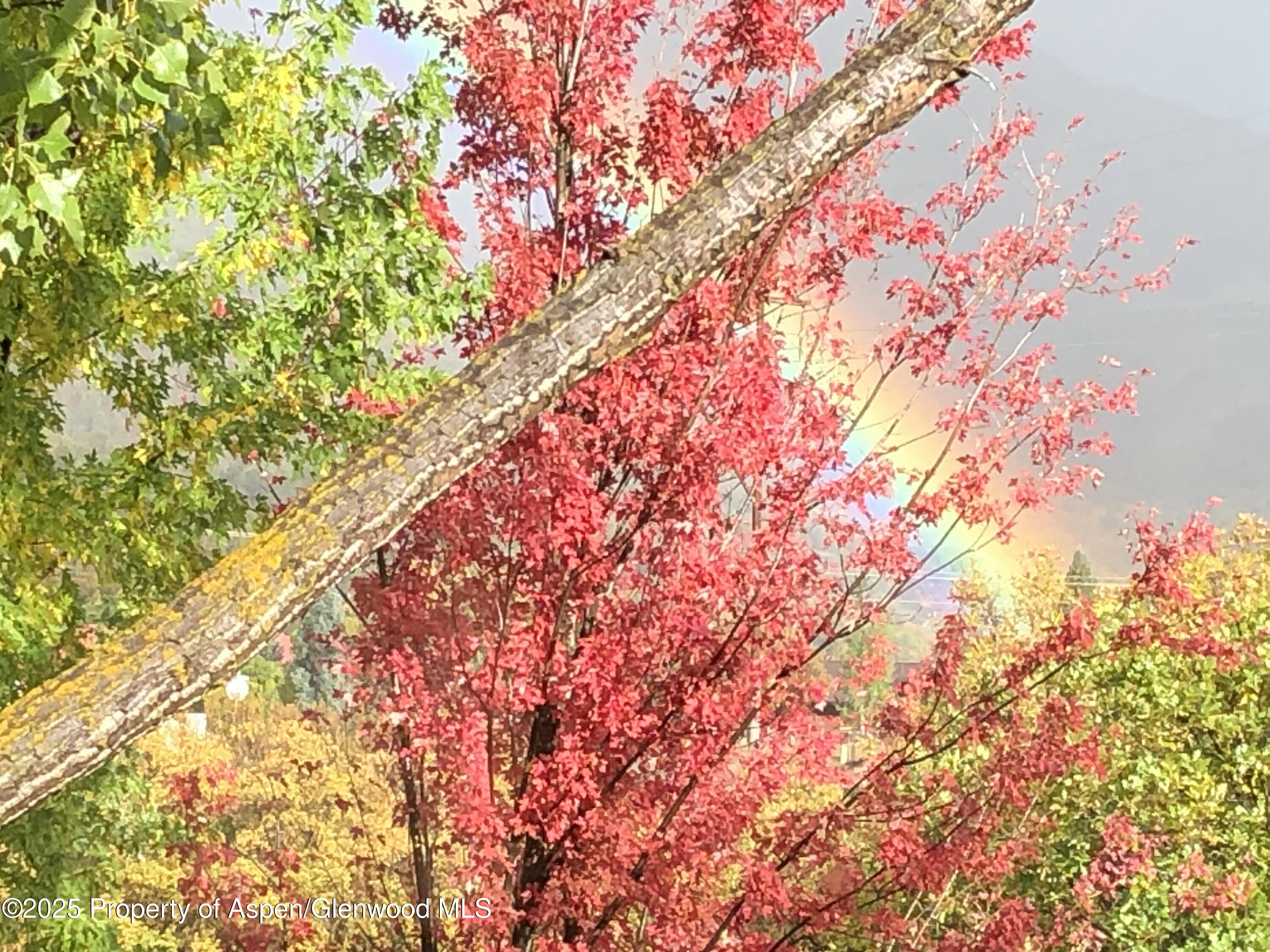 46 Alpine Court Glenwood Springs CO 81601