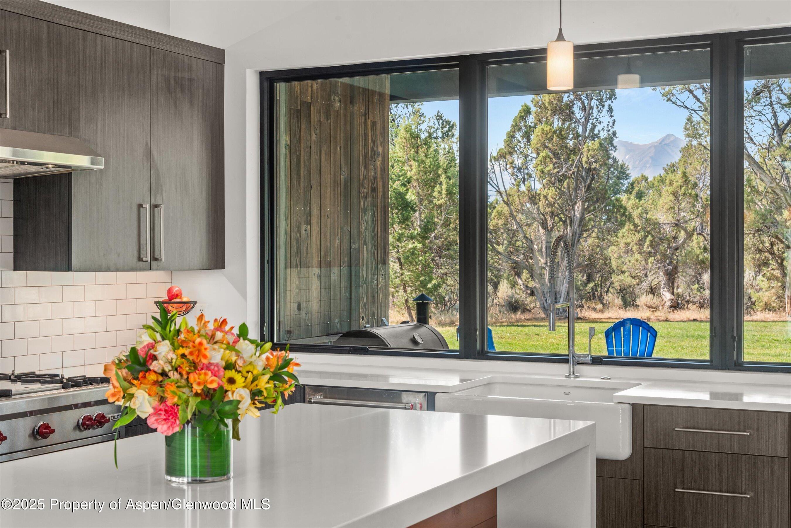 30 Sopris Lane Carbondale CO 81623