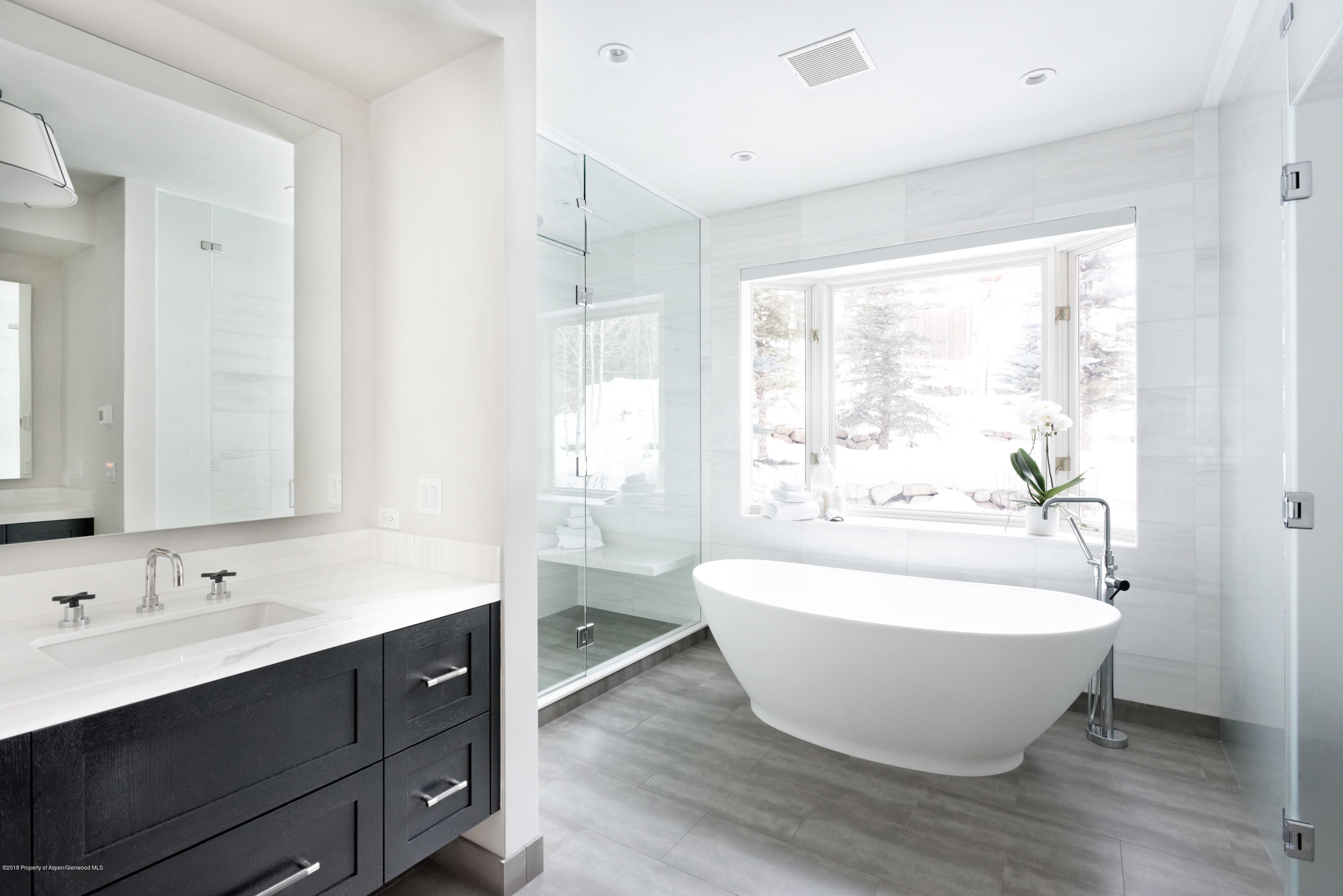 971 Ute Avenue Aspen CO 81611