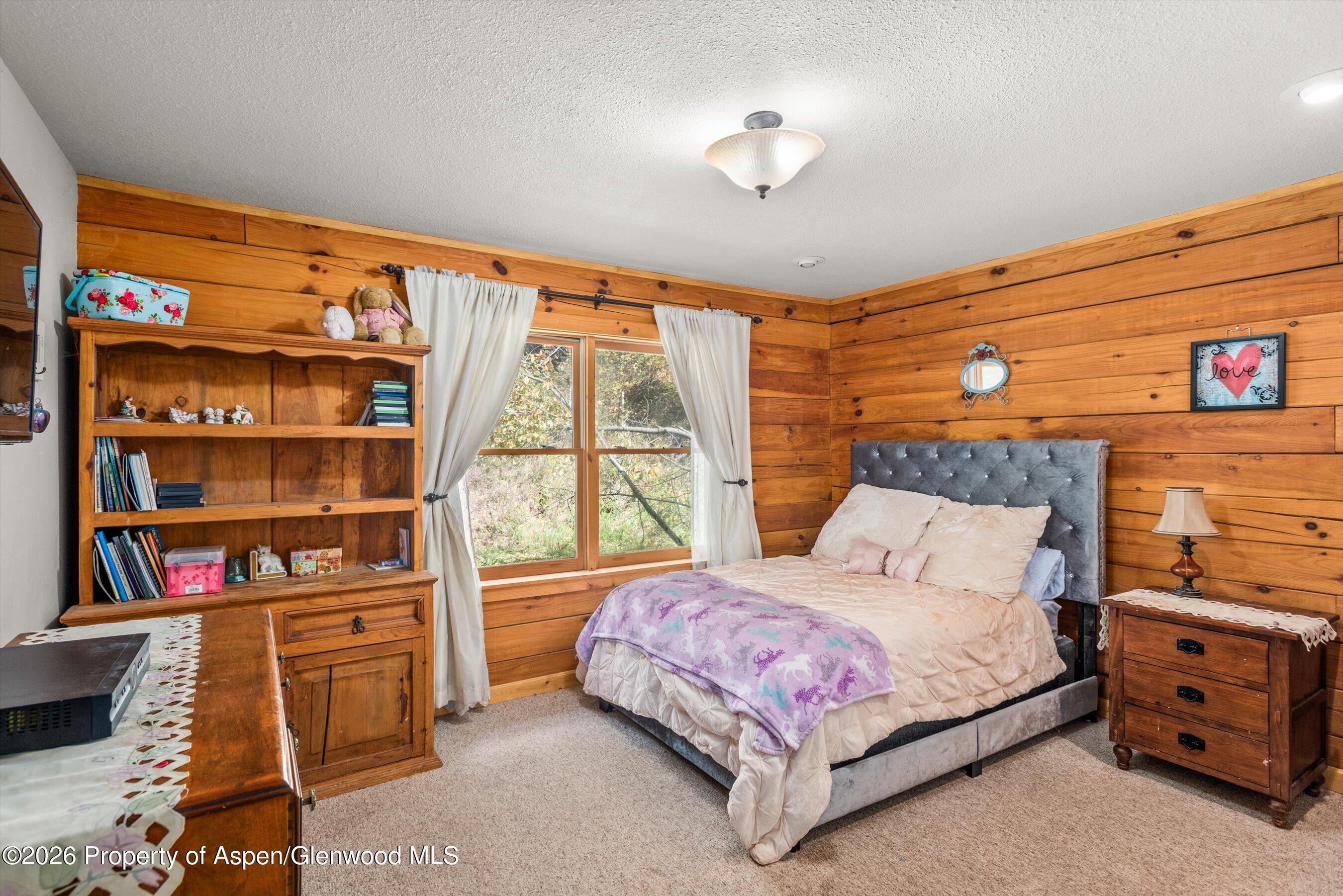 175 Bighorn Lane Redstone CO 81623