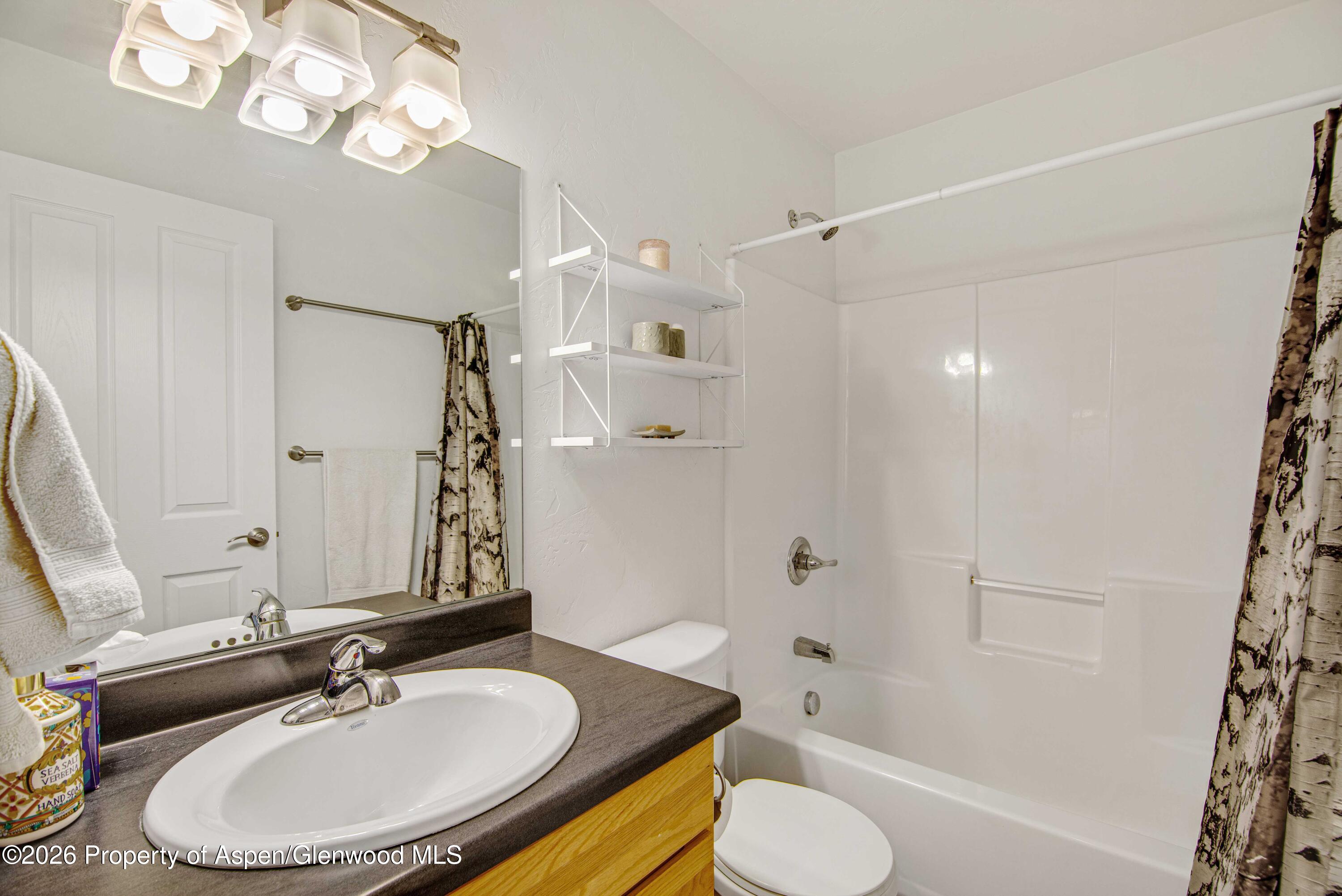 306 Linden Circle Carbondale CO 81623