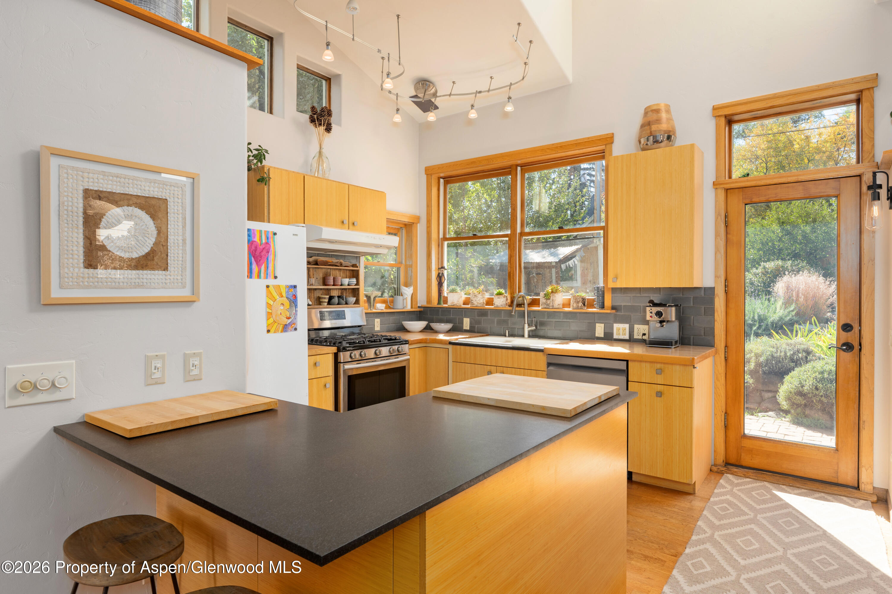 226 Garfield Avenue Carbondale CO 81623