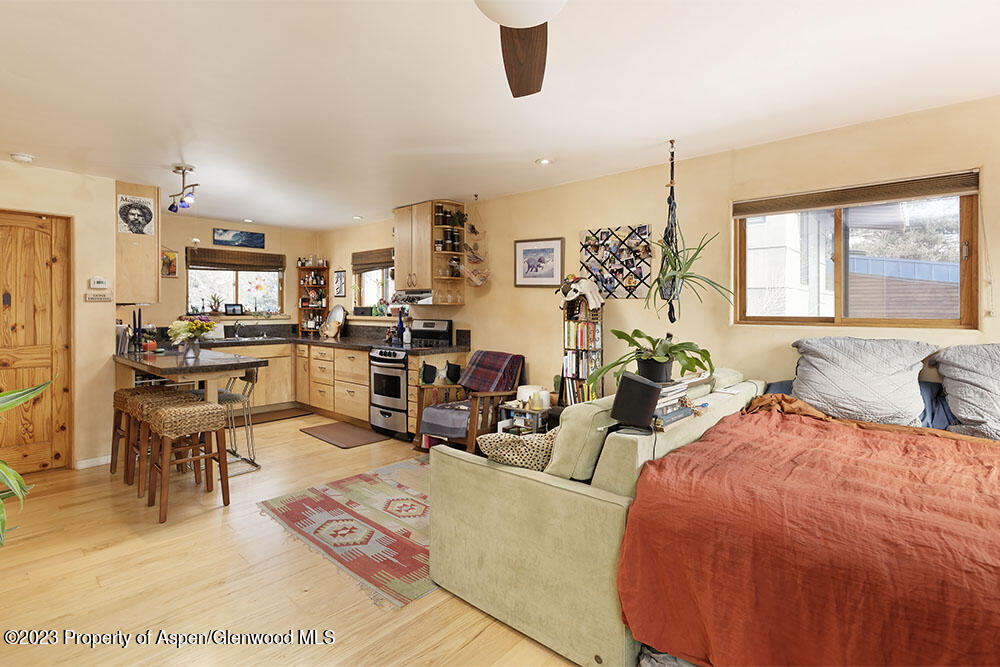 444 Euclid Avenue Carbondale CO 81623
