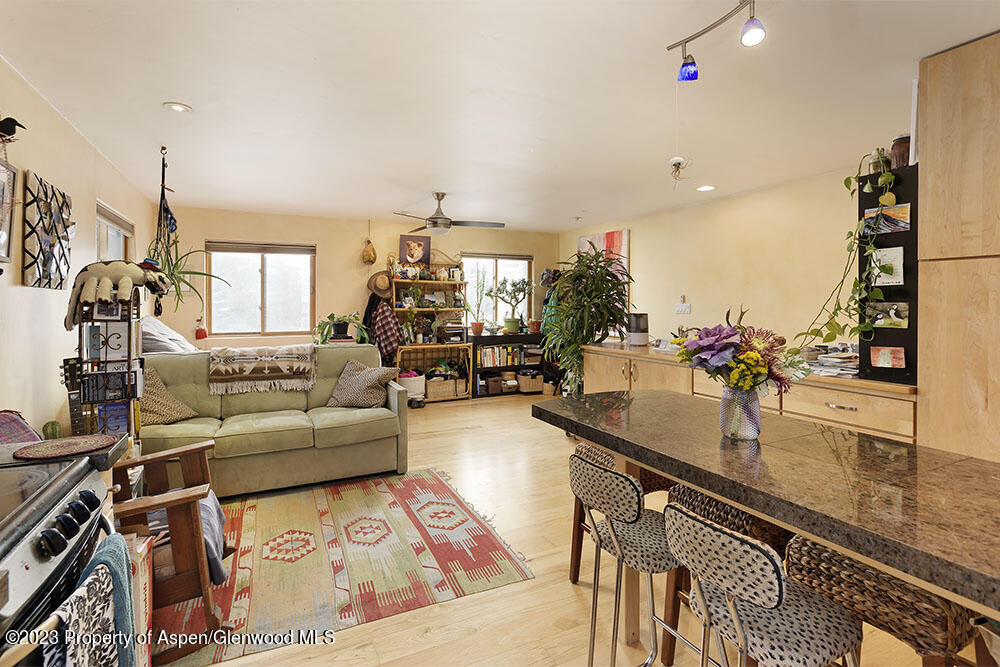 444 Euclid Avenue Carbondale CO 81623