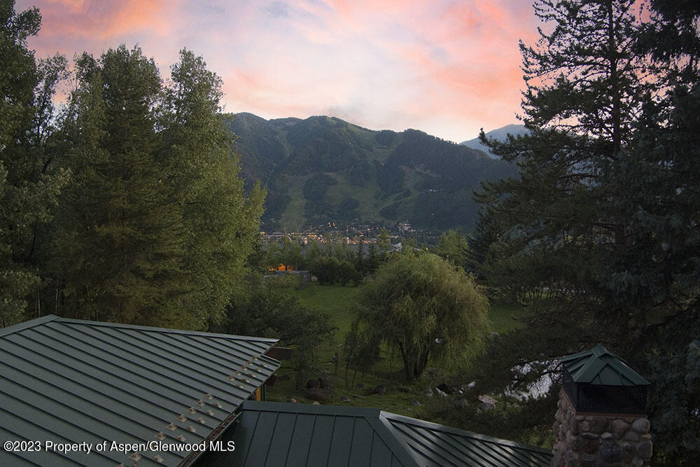 0209 E Reds Road Aspen CO 81611