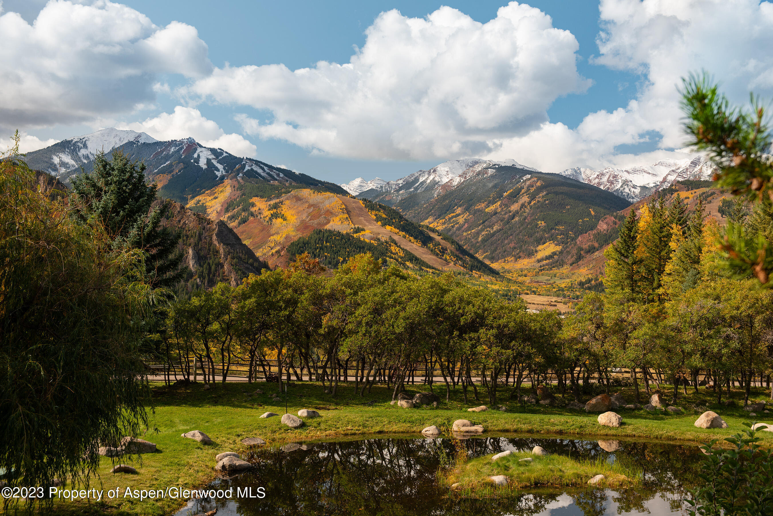 0209 E Reds Road Aspen CO 81611