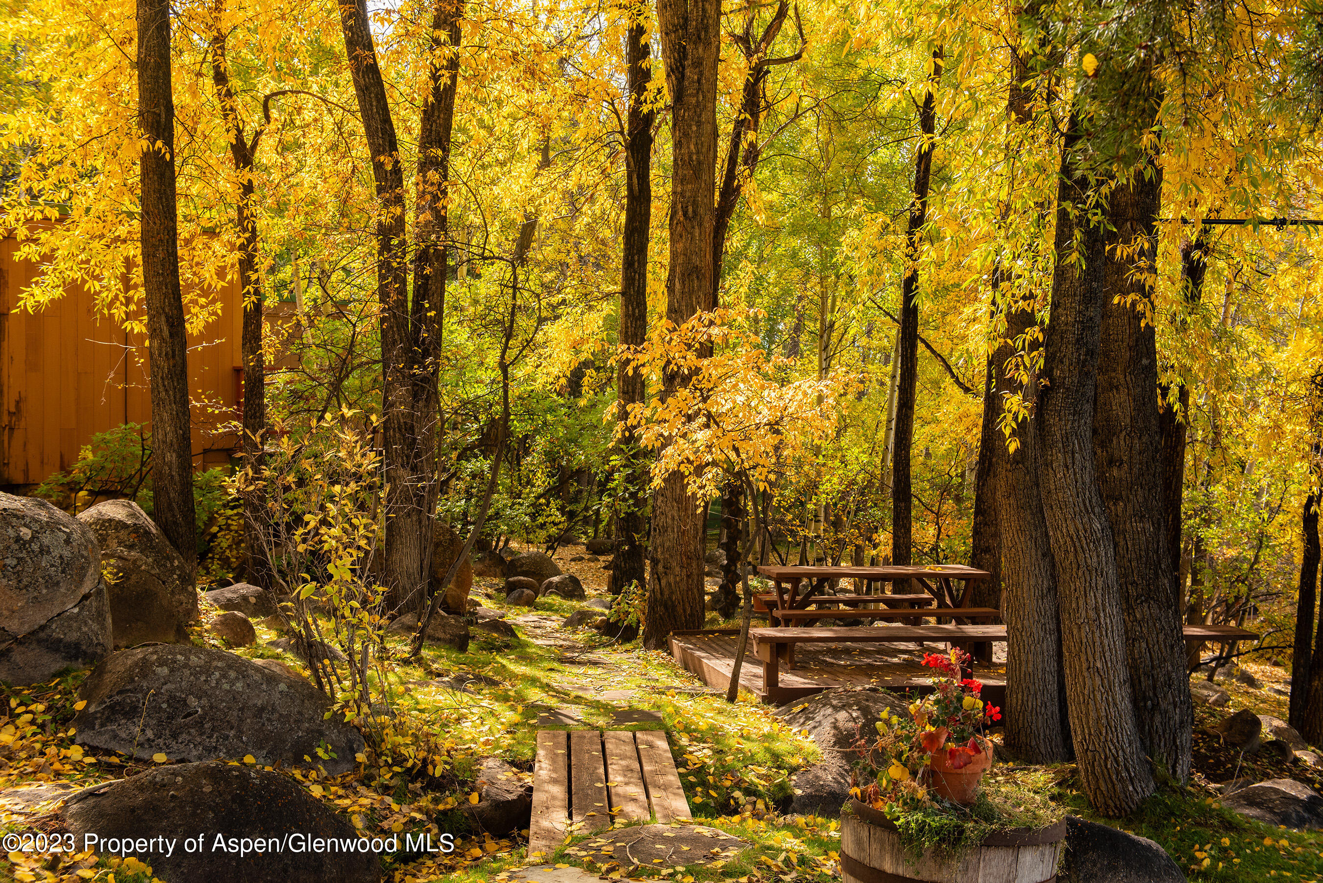 0209 E Reds Road Aspen CO 81611