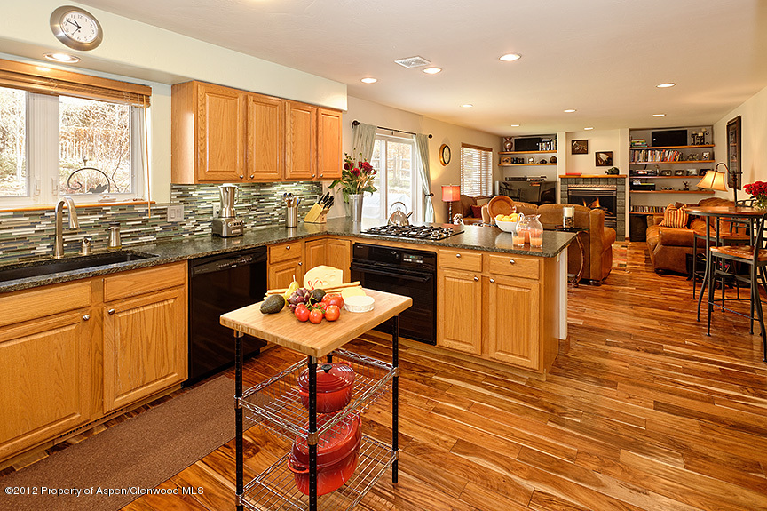 88 Goose Lane Carbondale CO 81623