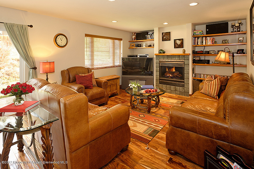 88 Goose Lane Carbondale CO 81623