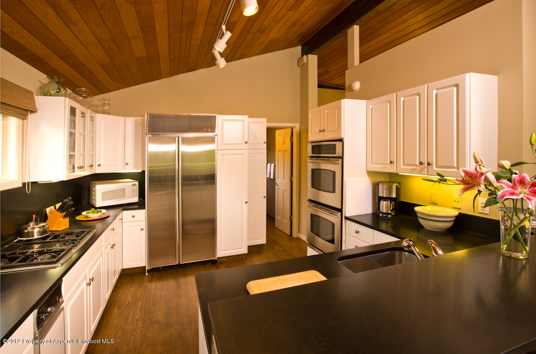 1006 E Hyman Avenue Aspen CO 81611