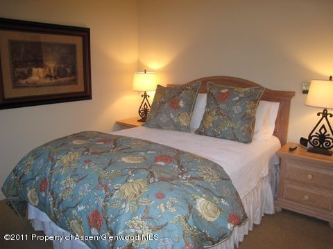 1006 E Hyman Avenue Aspen CO 81611