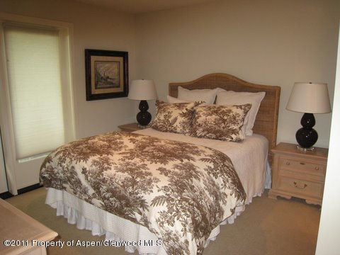 1006 E Hyman Avenue Aspen CO 81611