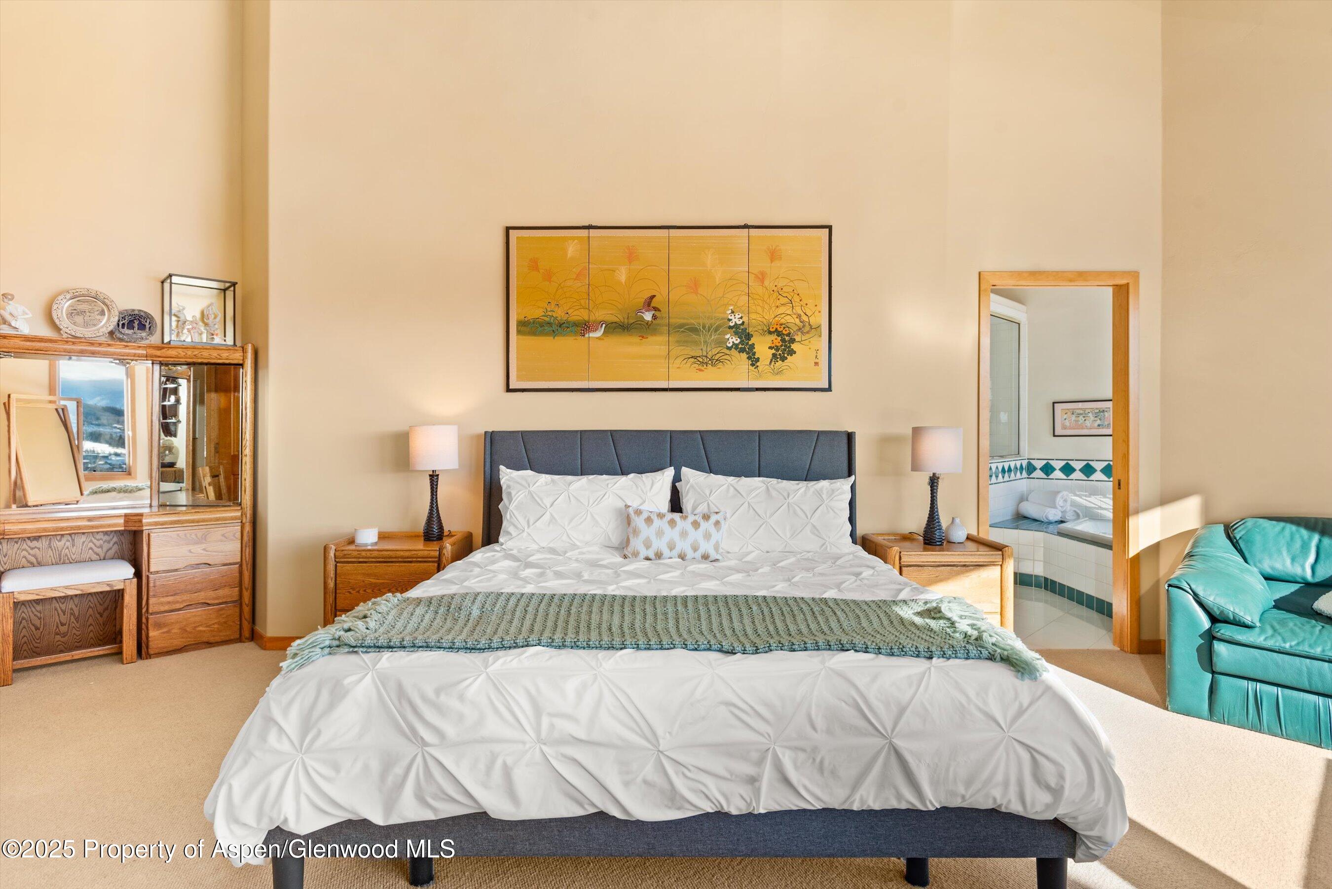 65 Terrace Lane Snowmass Village CO 81615