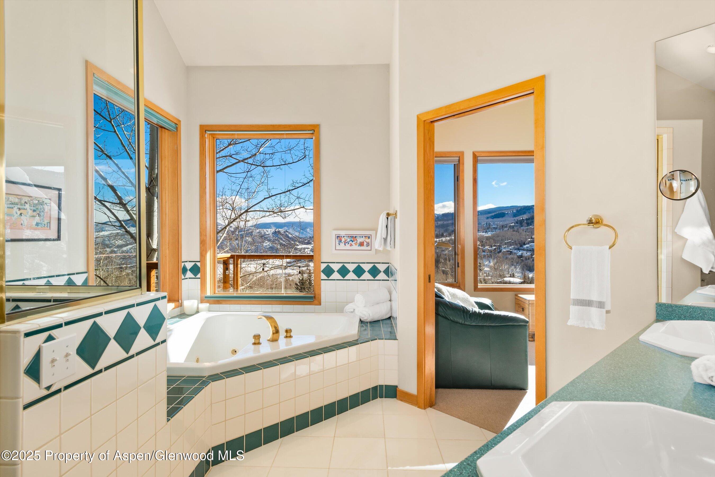 65 Terrace Lane Snowmass Village CO 81615