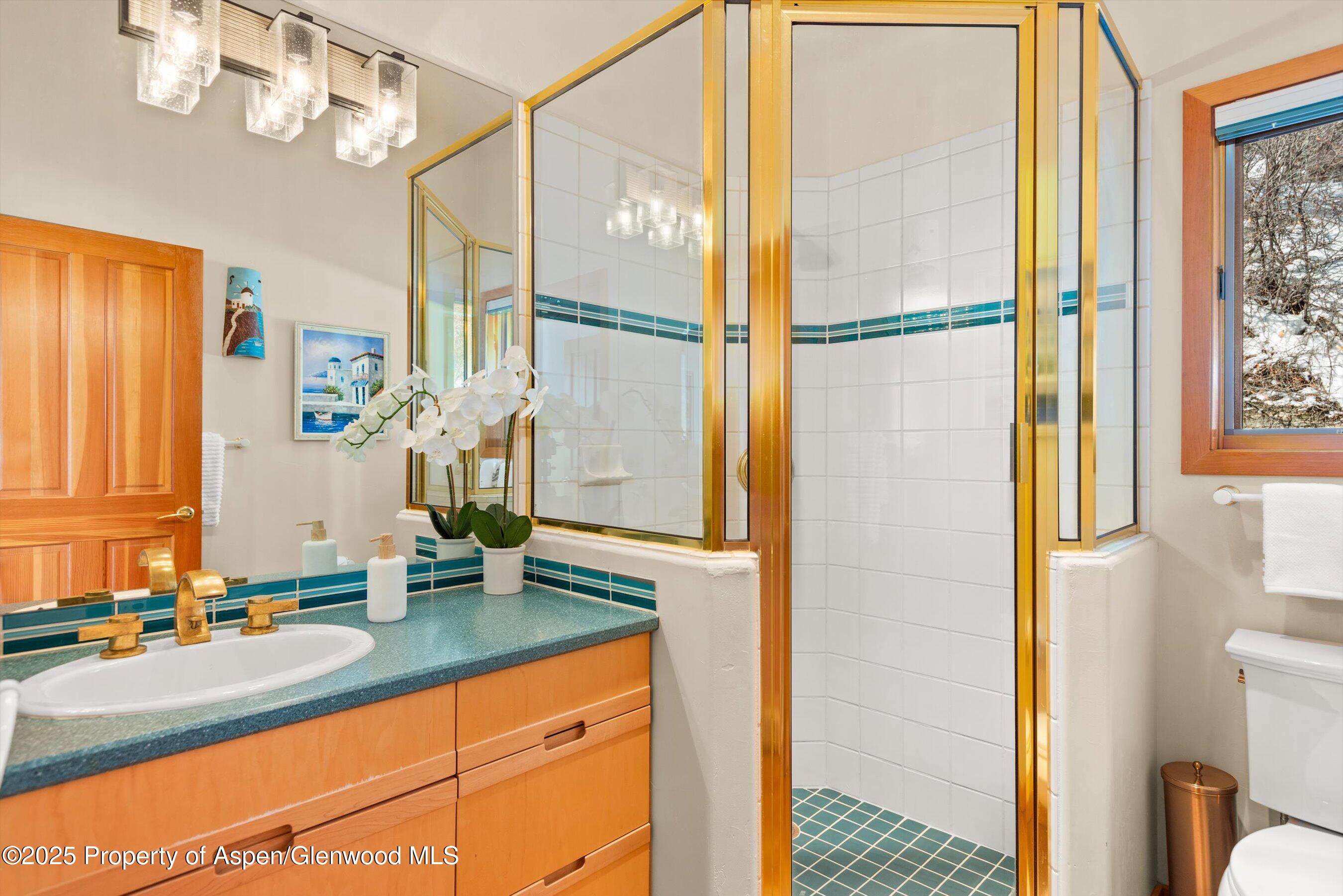 65 Terrace Lane Snowmass Village CO 81615