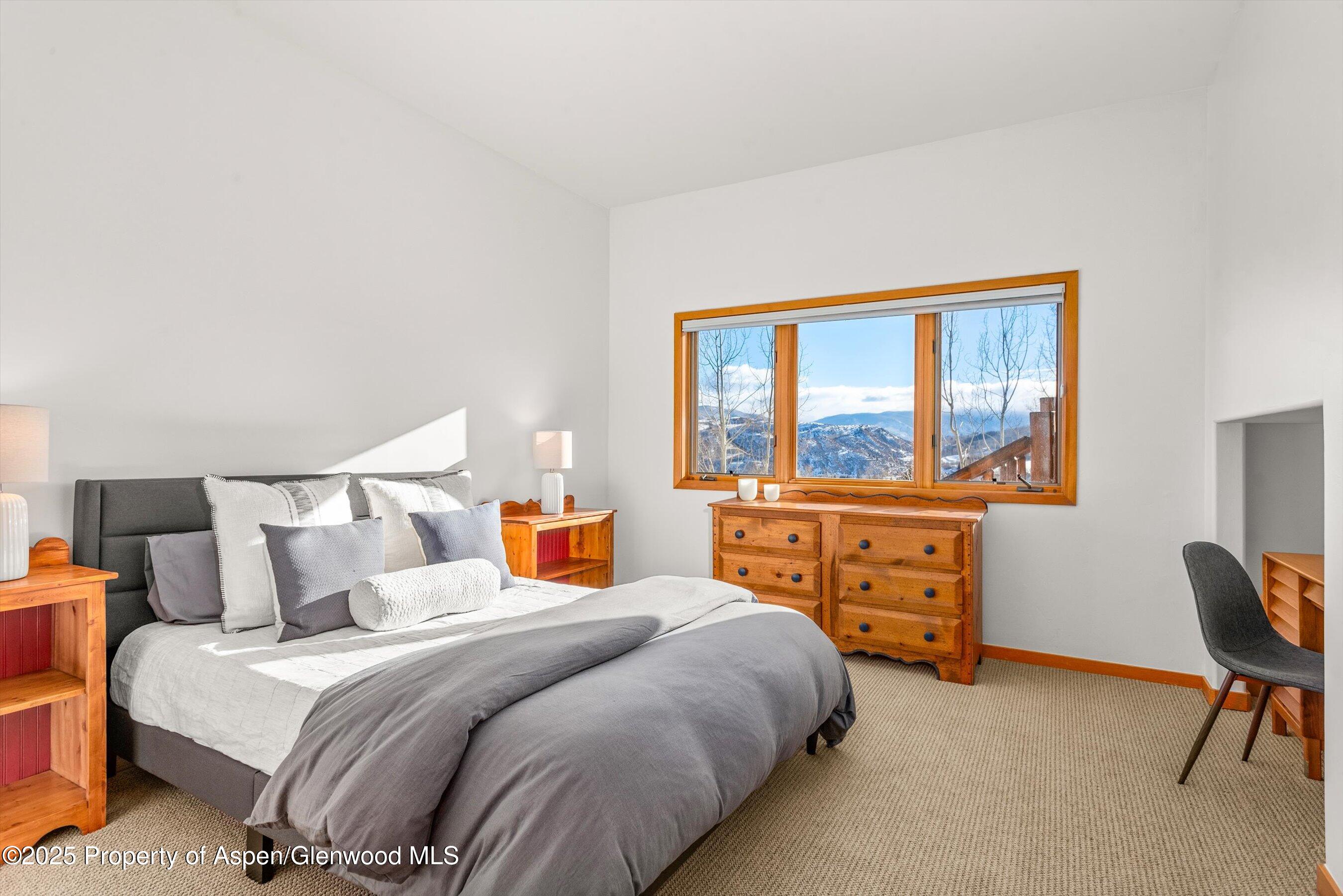 65 Terrace Lane Snowmass Village CO 81615