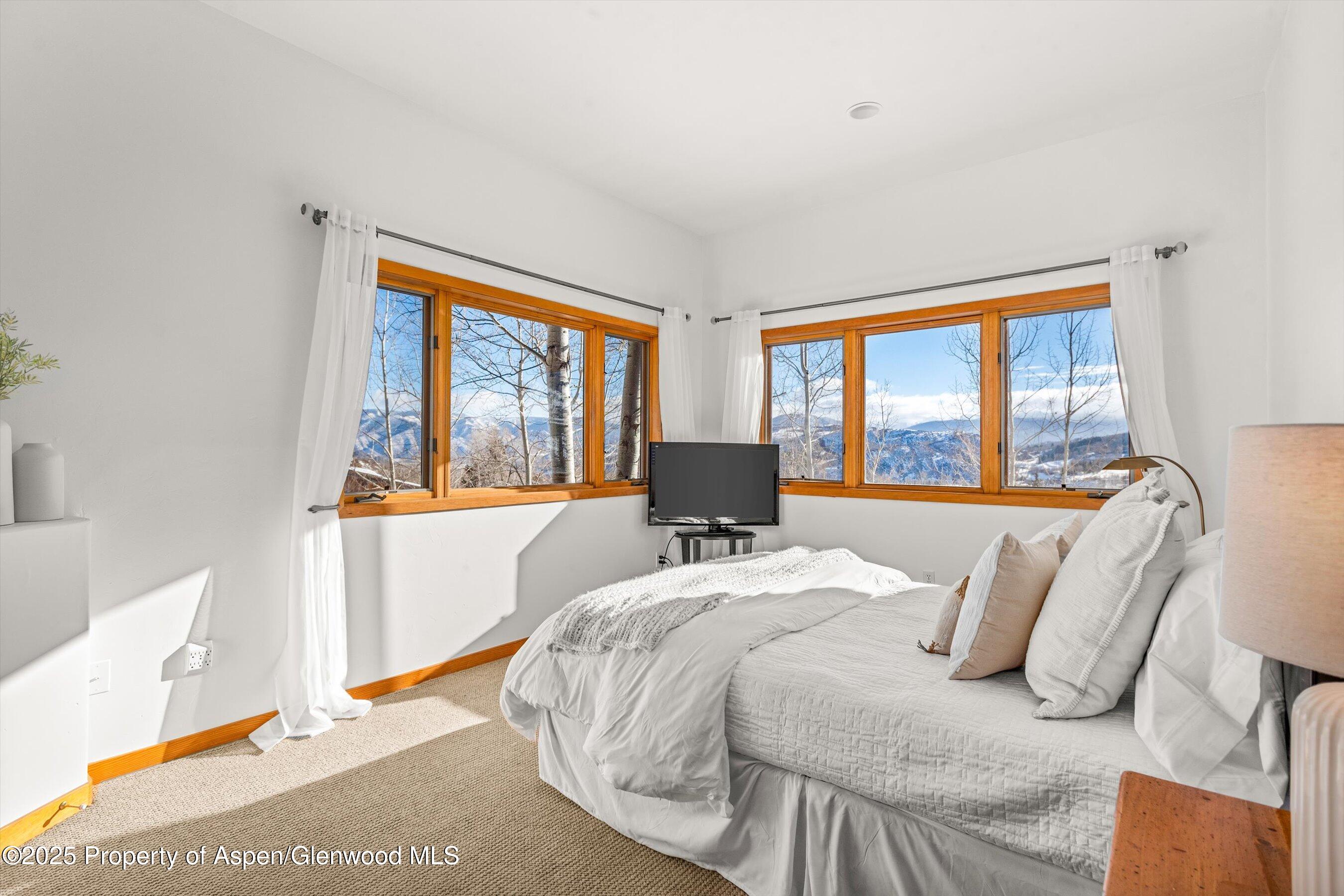 65 Terrace Lane Snowmass Village CO 81615