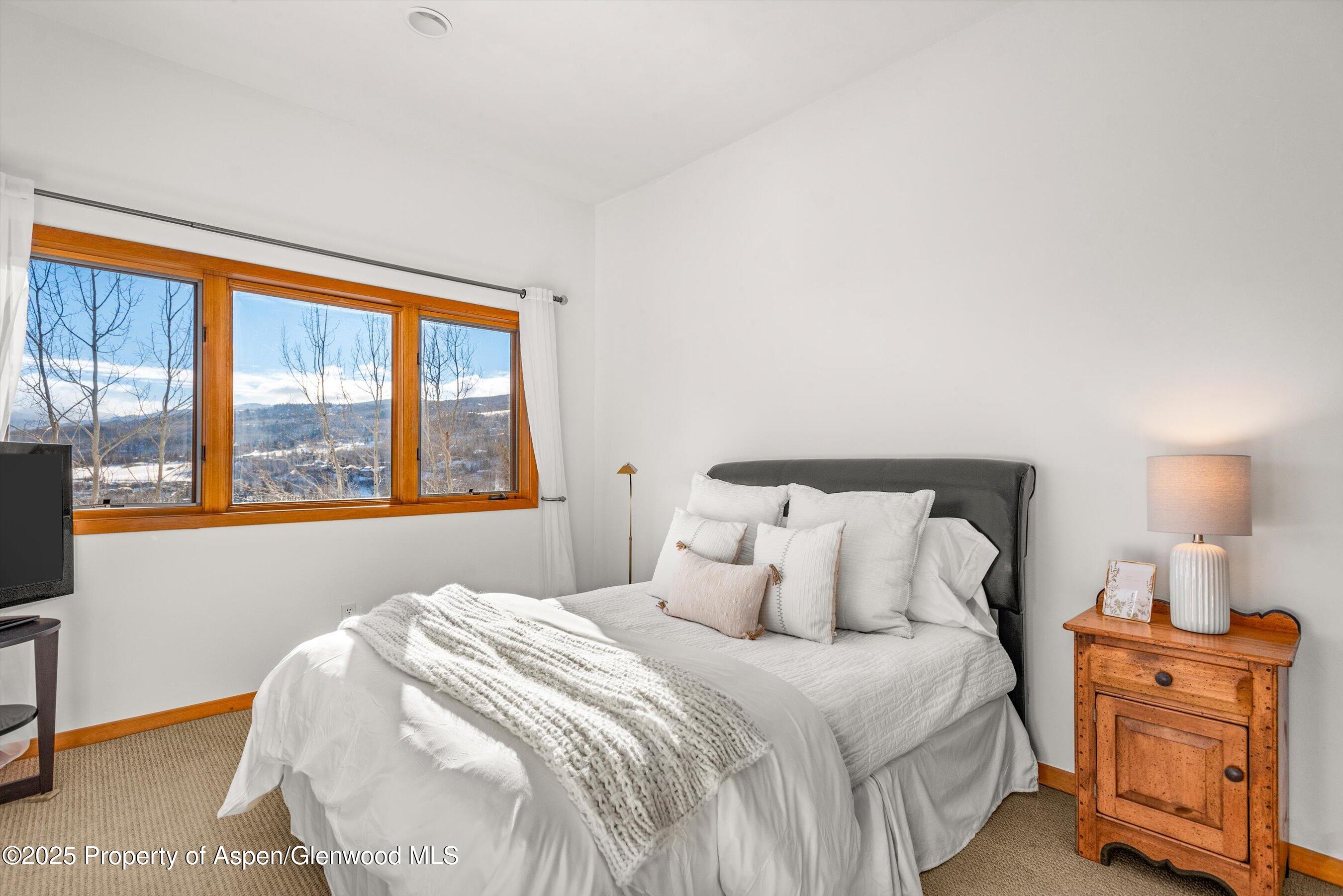 65 Terrace Lane Snowmass Village CO 81615