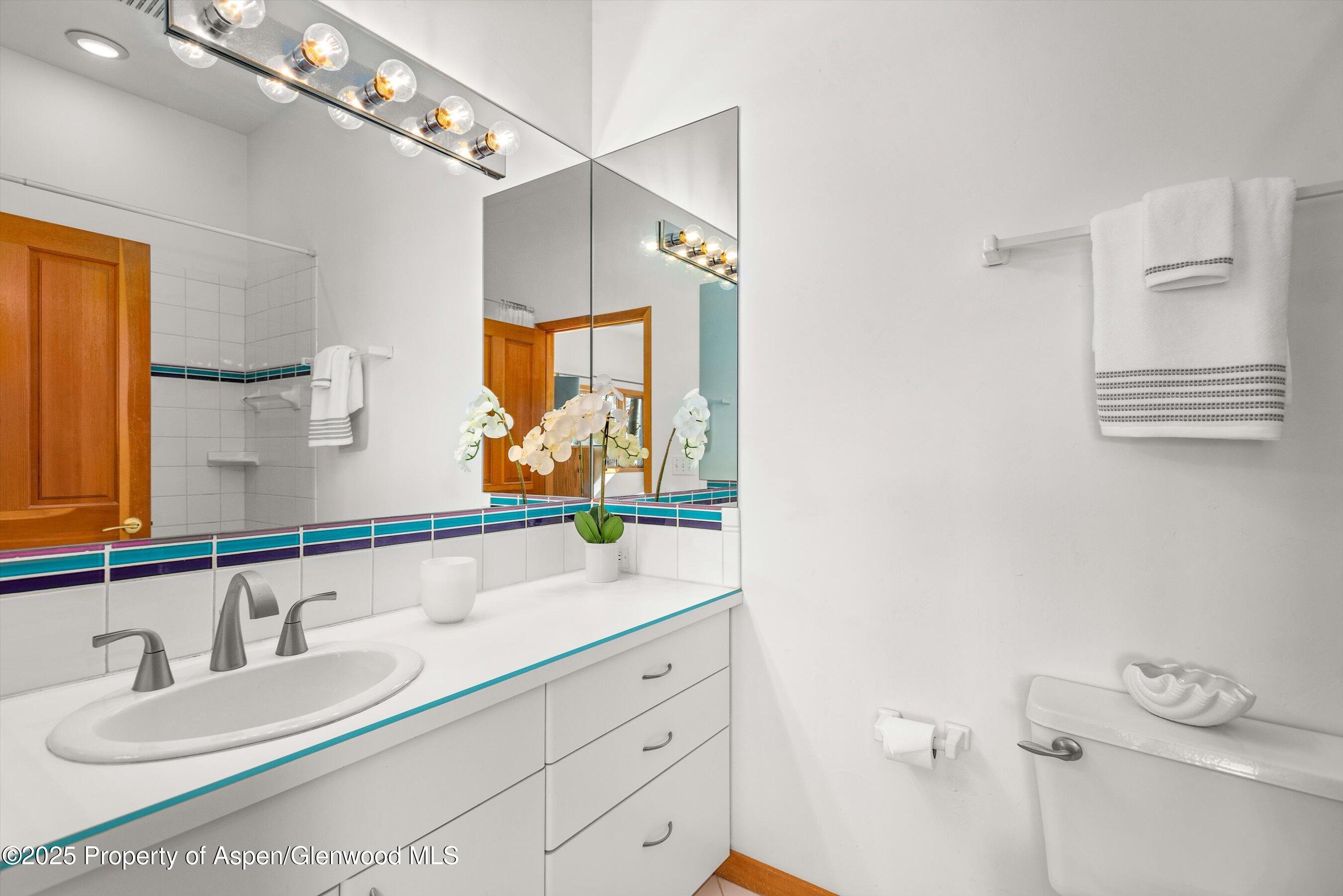 65 Terrace Lane Snowmass Village CO 81615