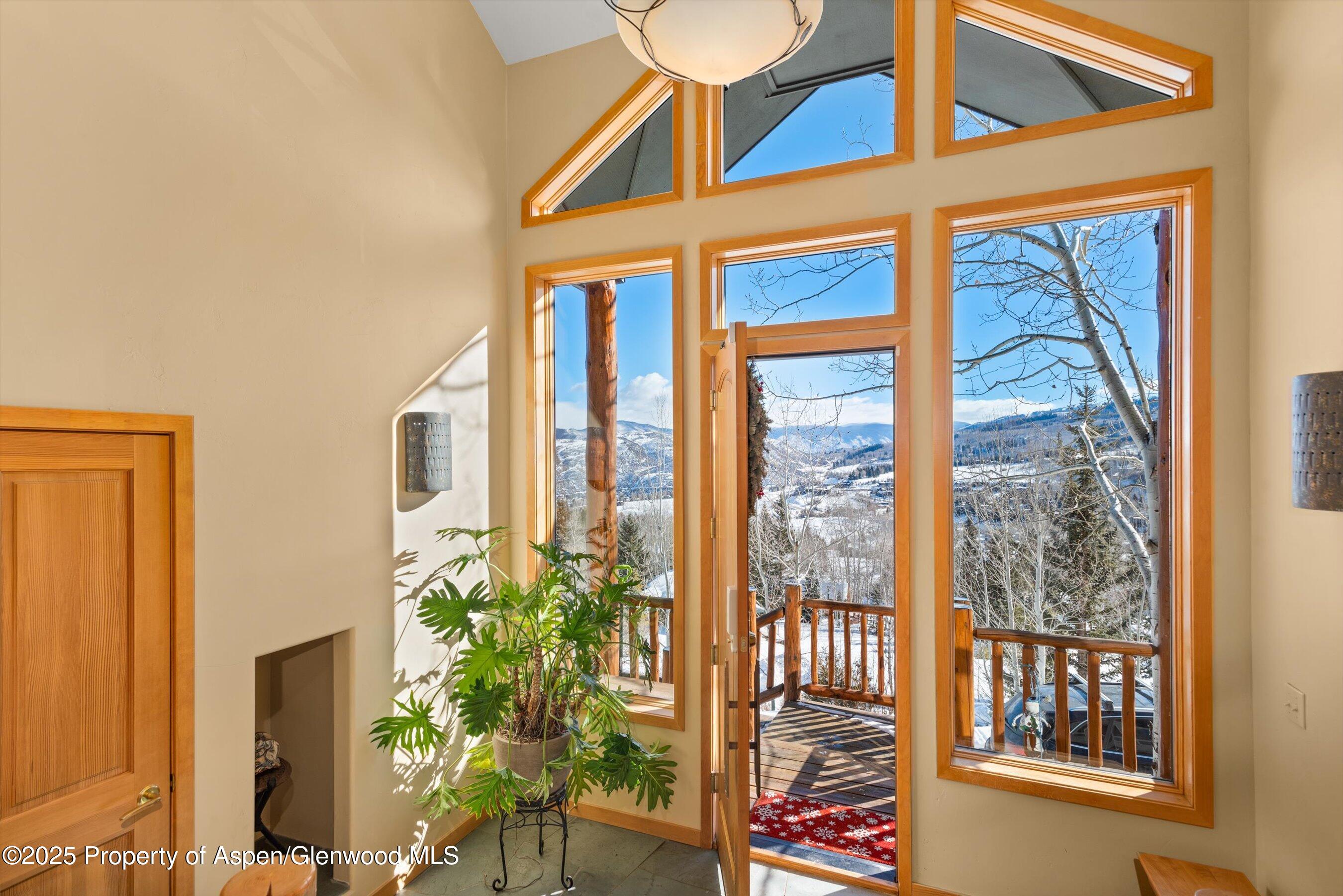 65 Terrace Lane Snowmass Village CO 81615
