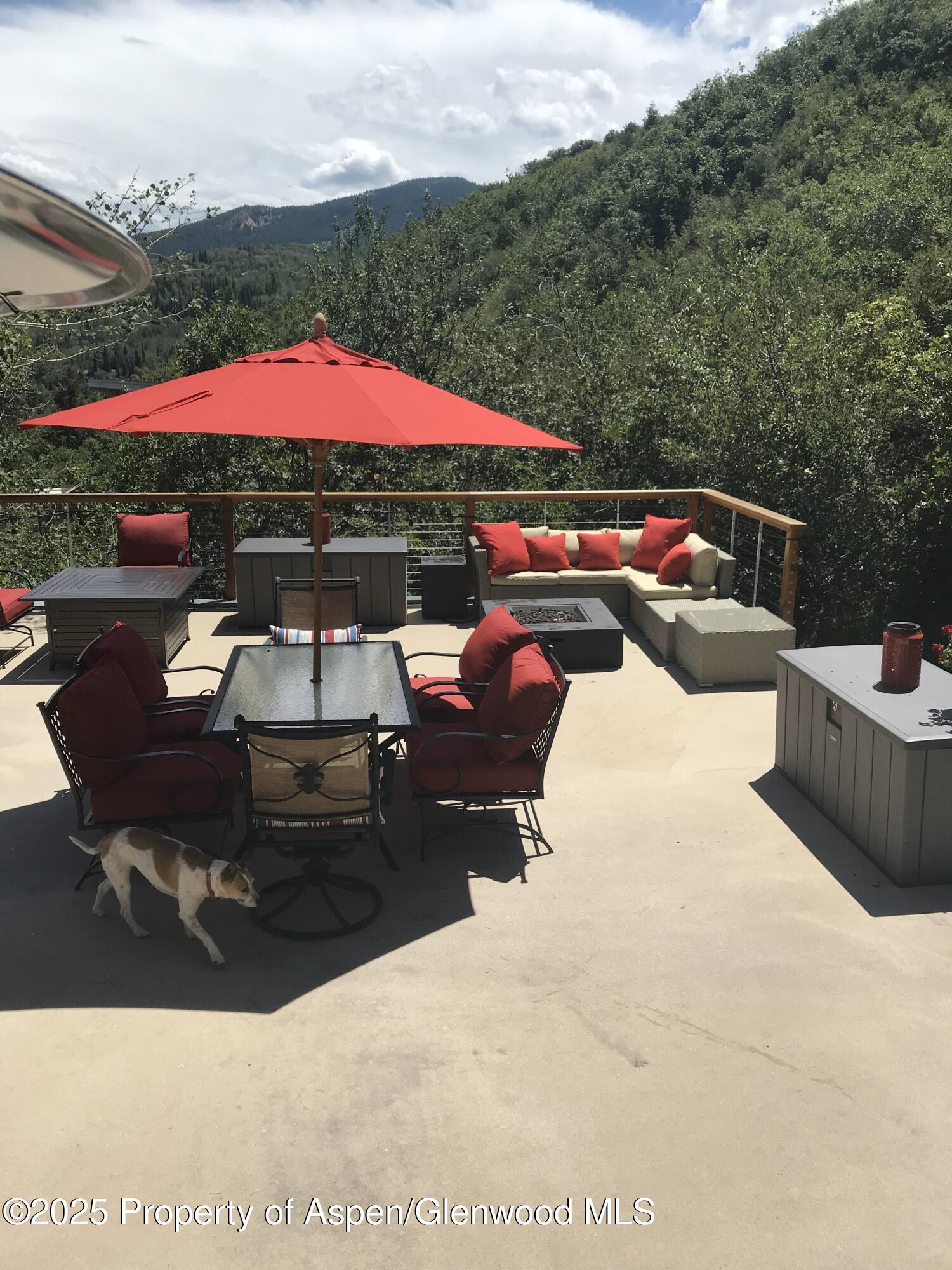 65 Terrace Lane Snowmass Village CO 81615