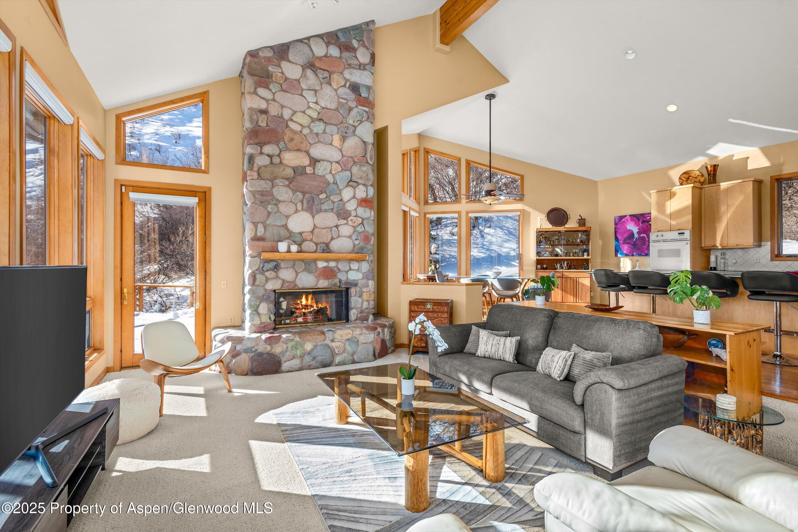 65 Terrace Lane Snowmass Village CO 81615