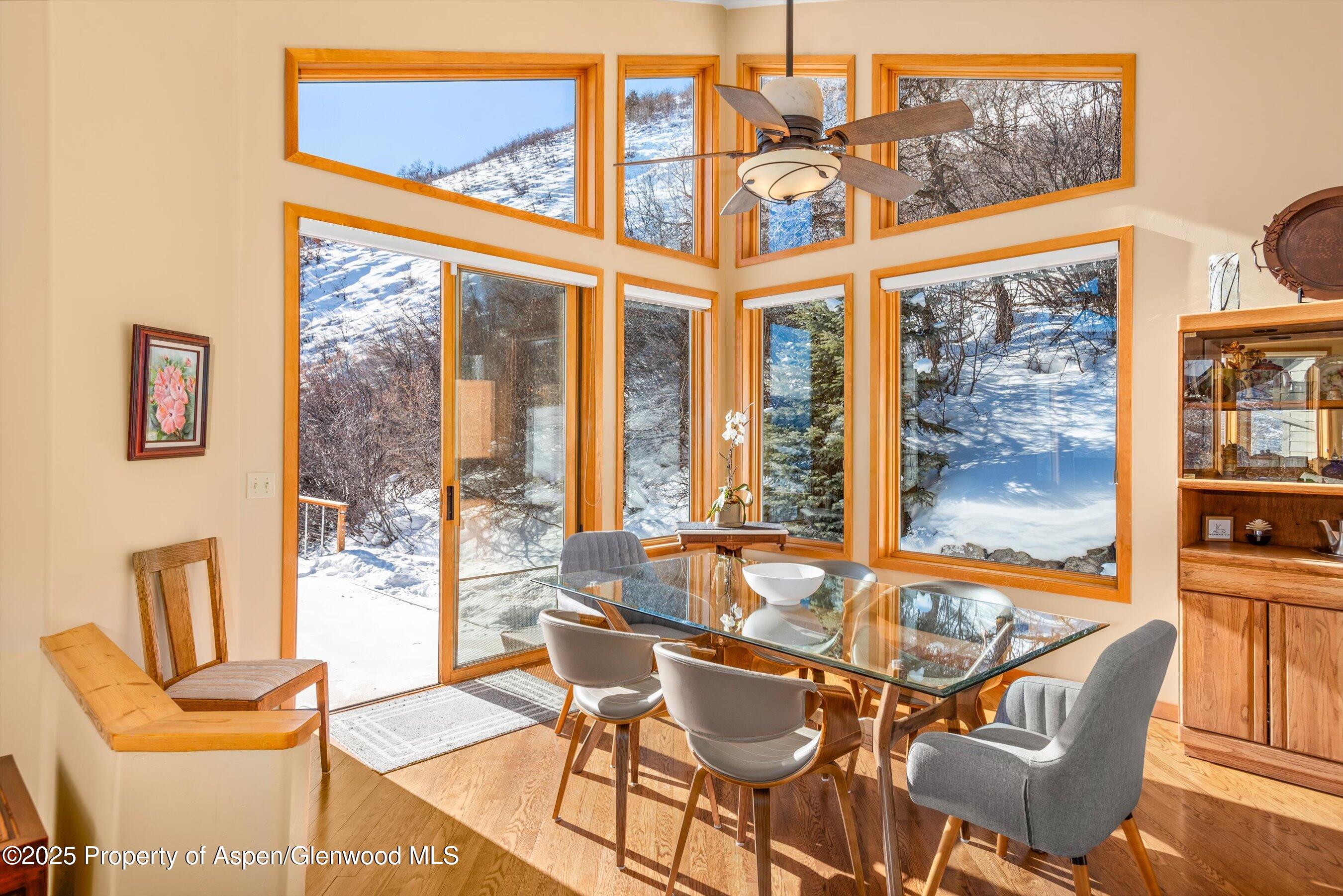 65 Terrace Lane Snowmass Village CO 81615
