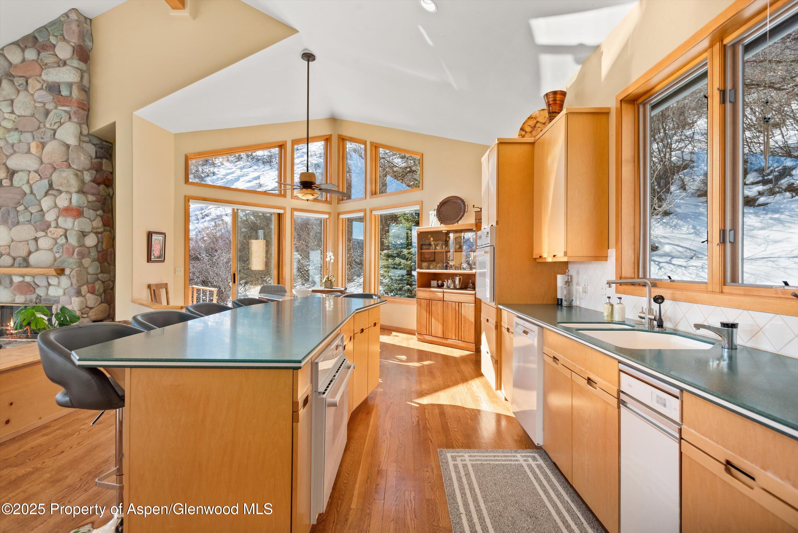 65 Terrace Lane Snowmass Village CO 81615