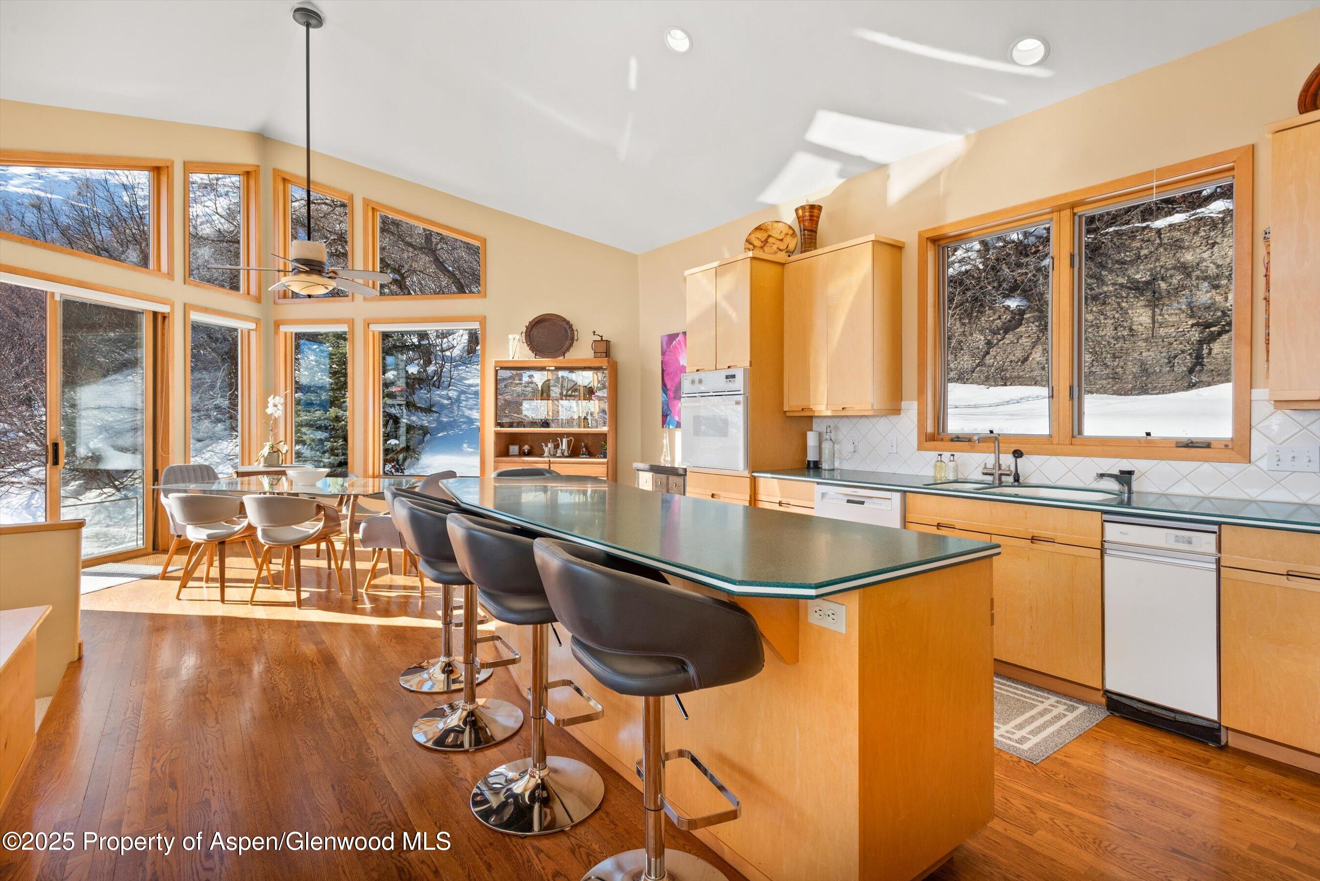 65 Terrace Lane Snowmass Village CO 81615