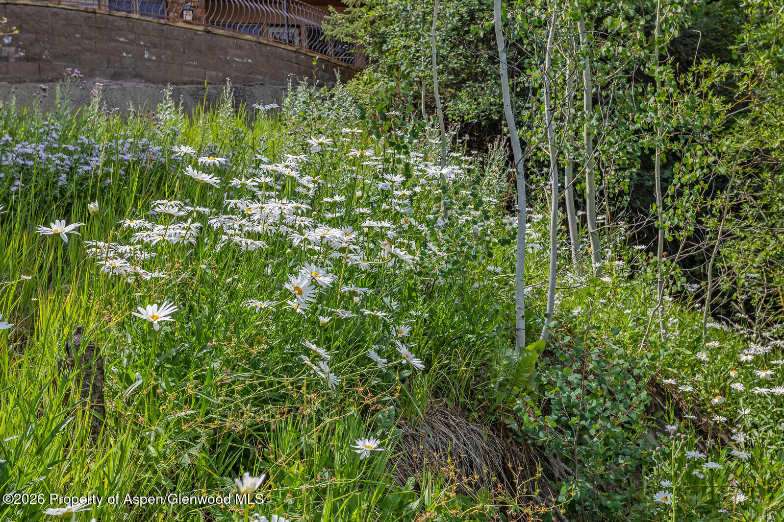 281 Pine Crest Drive Snowmass Village CO 81615
