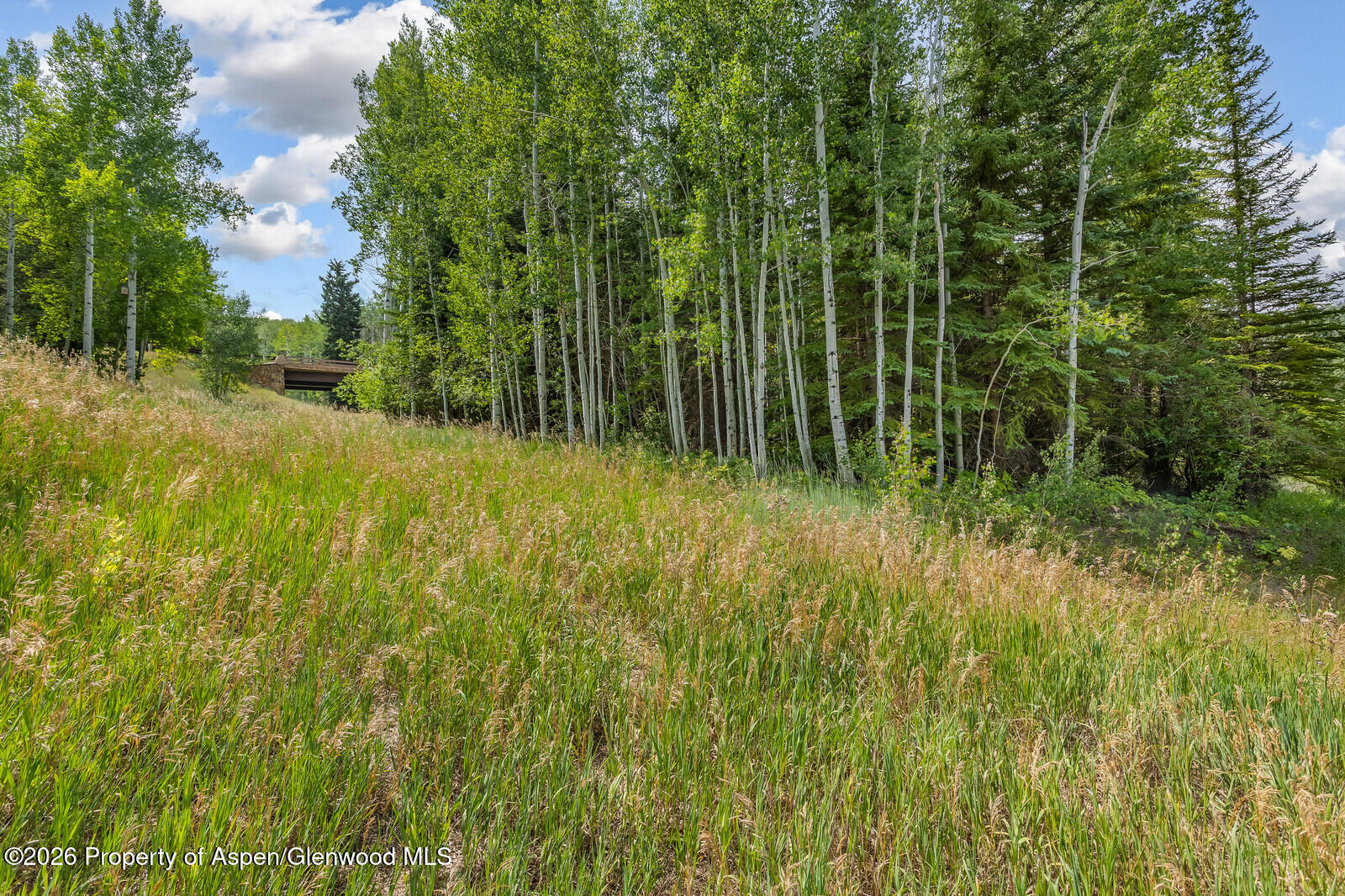 281 Pine Crest Drive Snowmass Village CO 81615