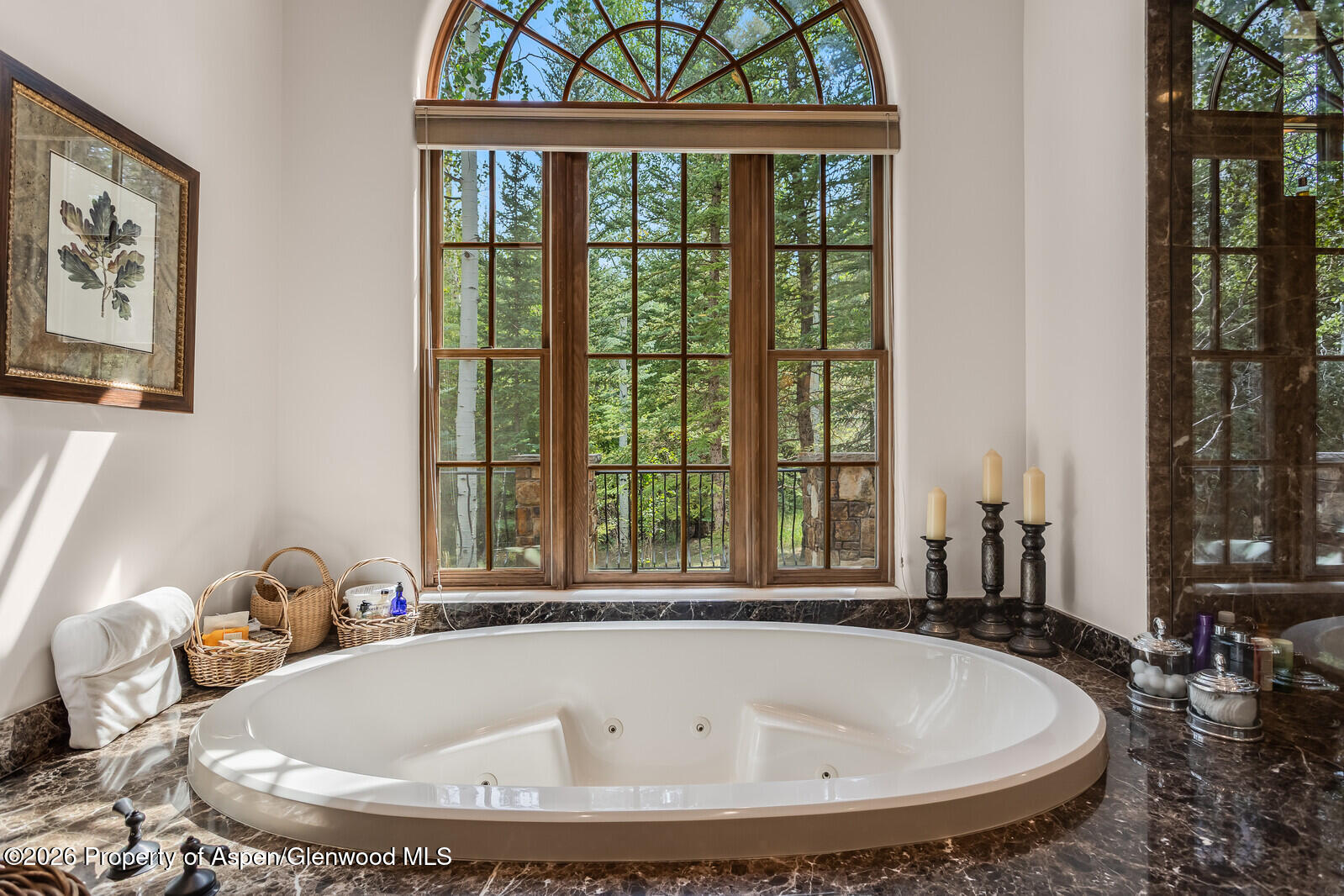 281 Pine Crest Drive Snowmass Village CO 81615