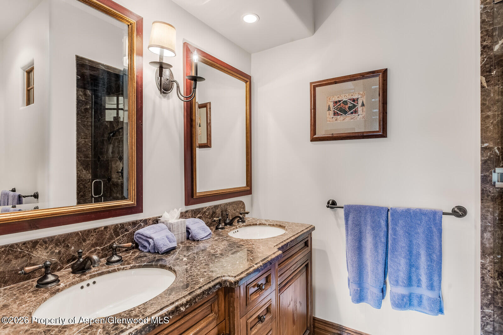 281 Pine Crest Drive Snowmass Village CO 81615