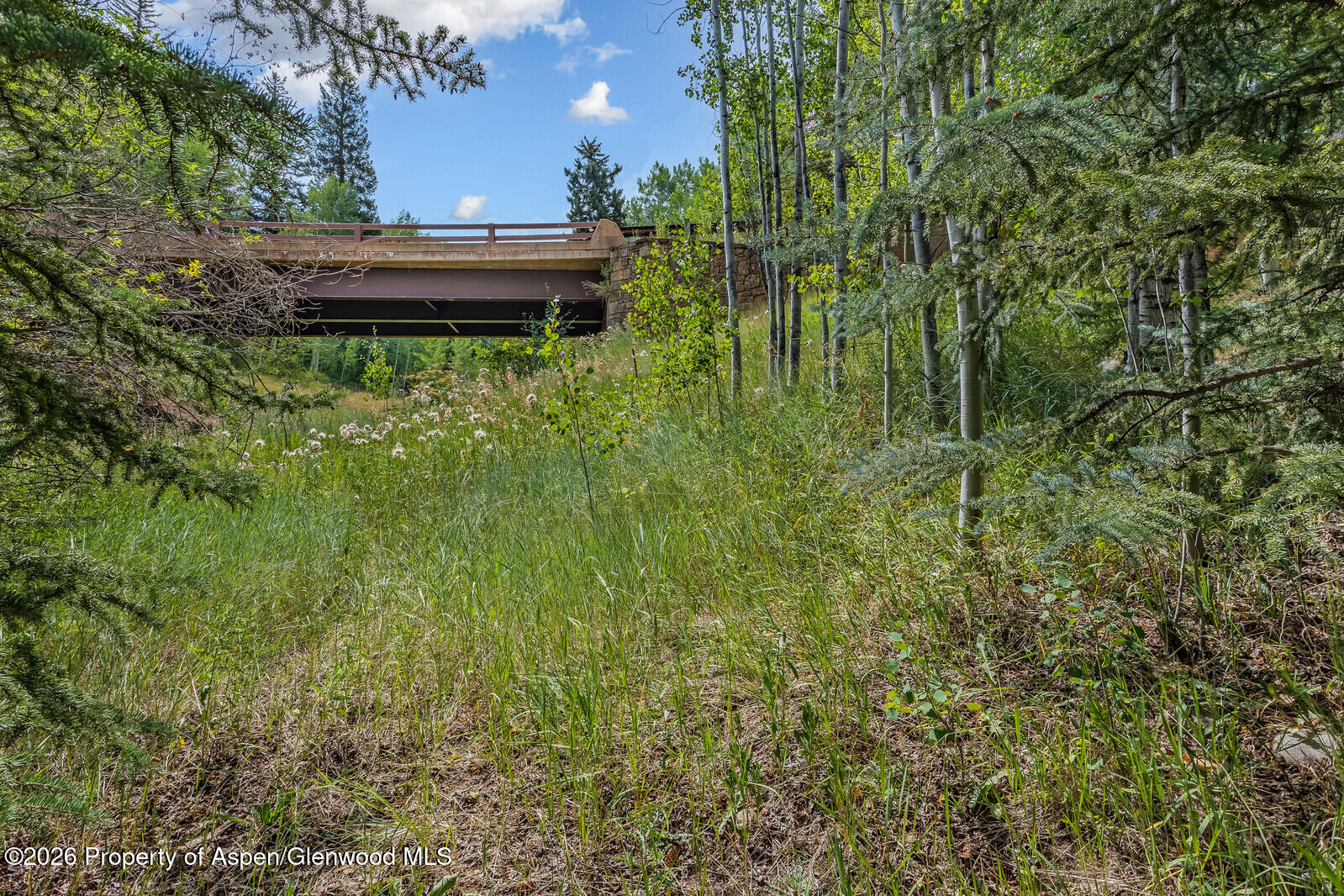 281 Pine Crest Drive Snowmass Village CO 81615