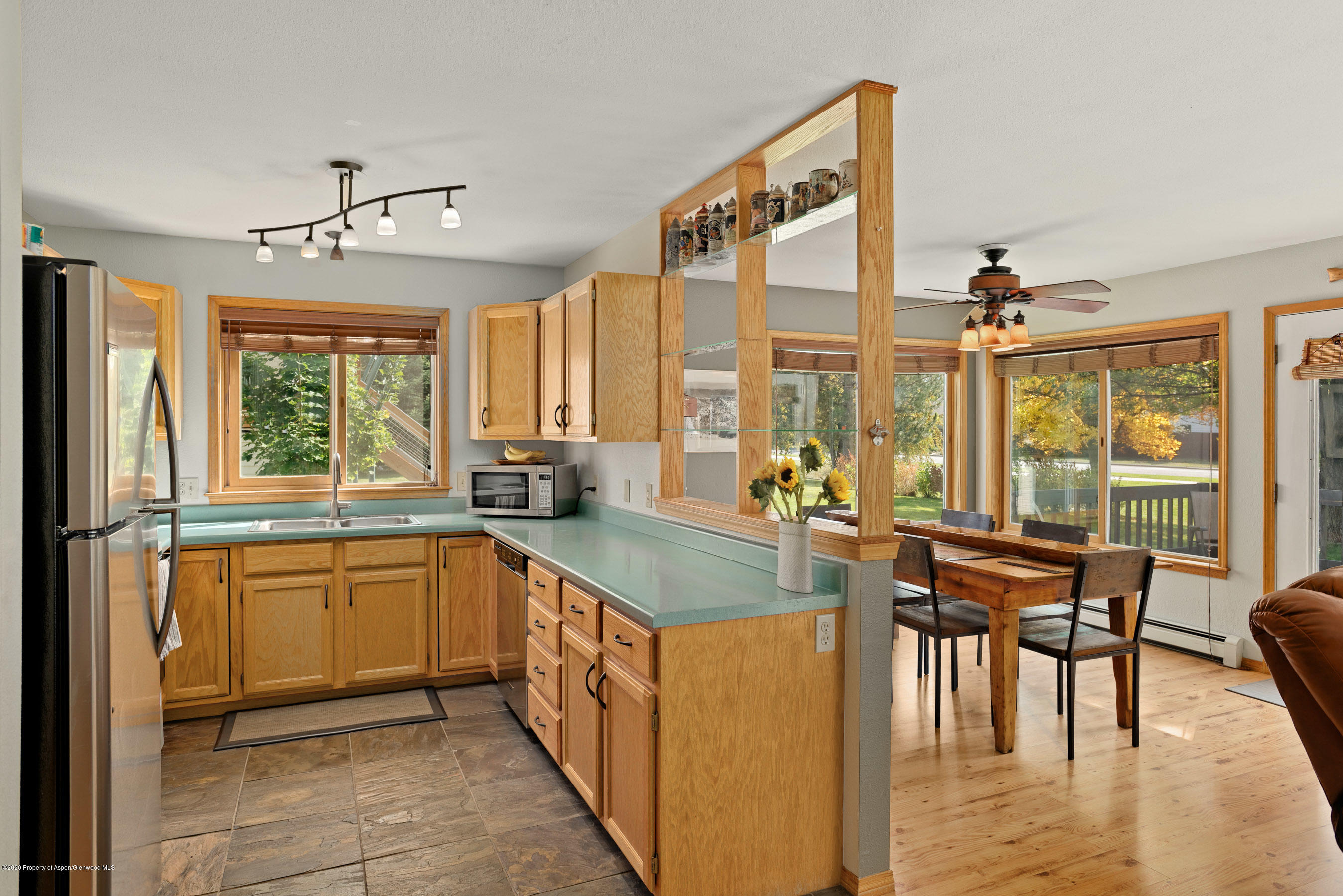 1621 Defiance Drive Carbondale CO 81623