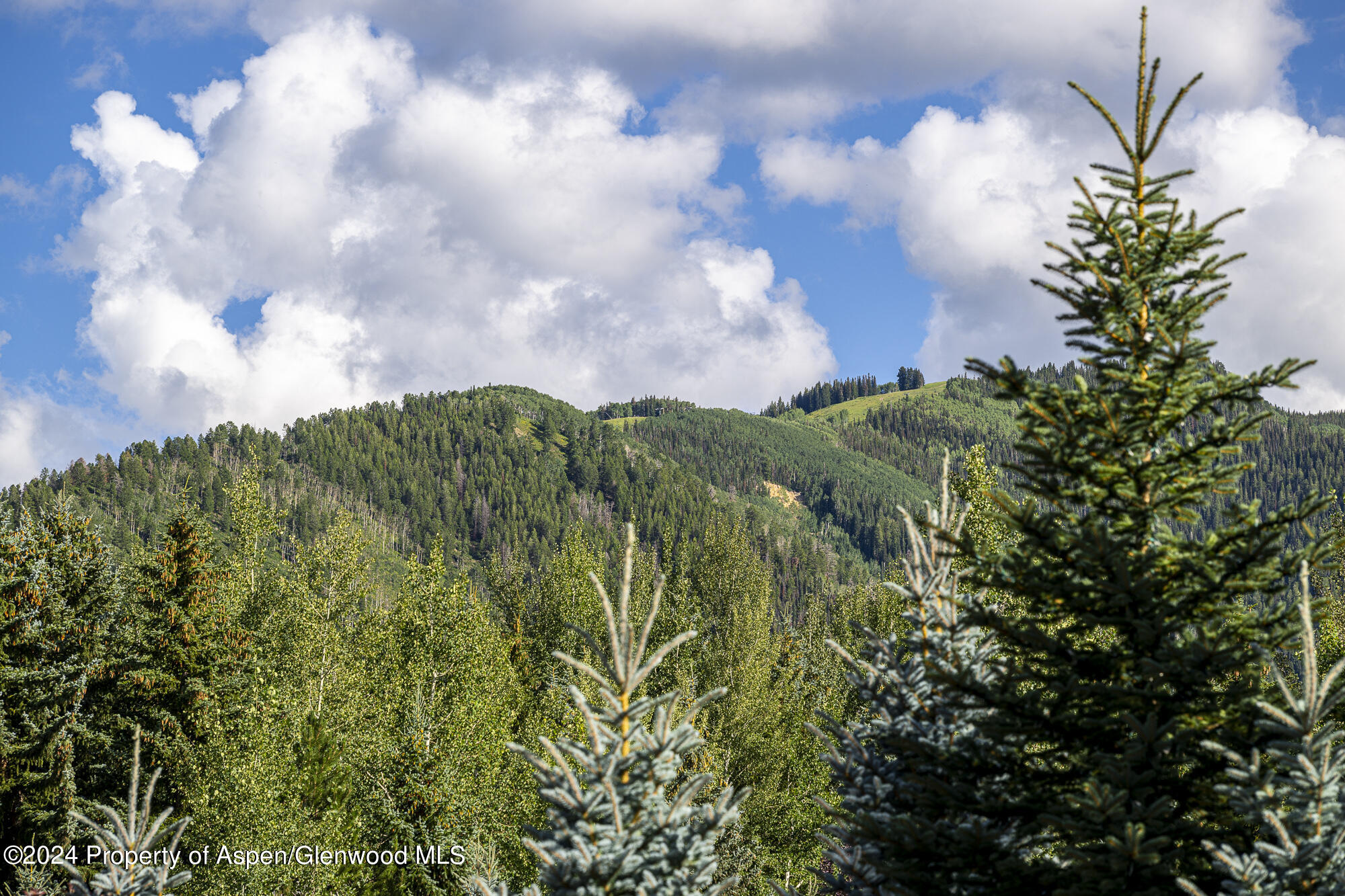 58 Maroon Drive Aspen CO 81611