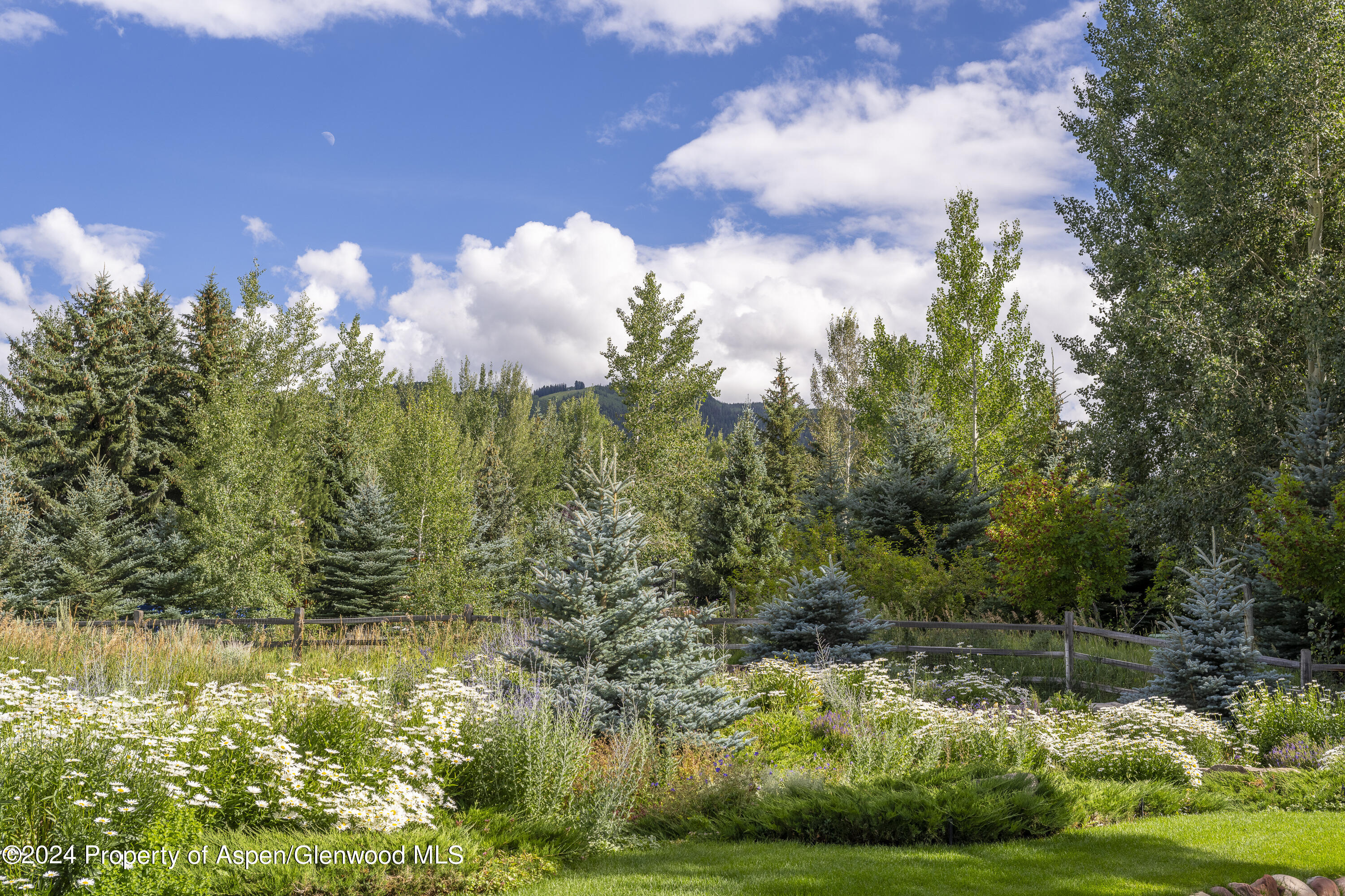 58 Maroon Drive Aspen CO 81611