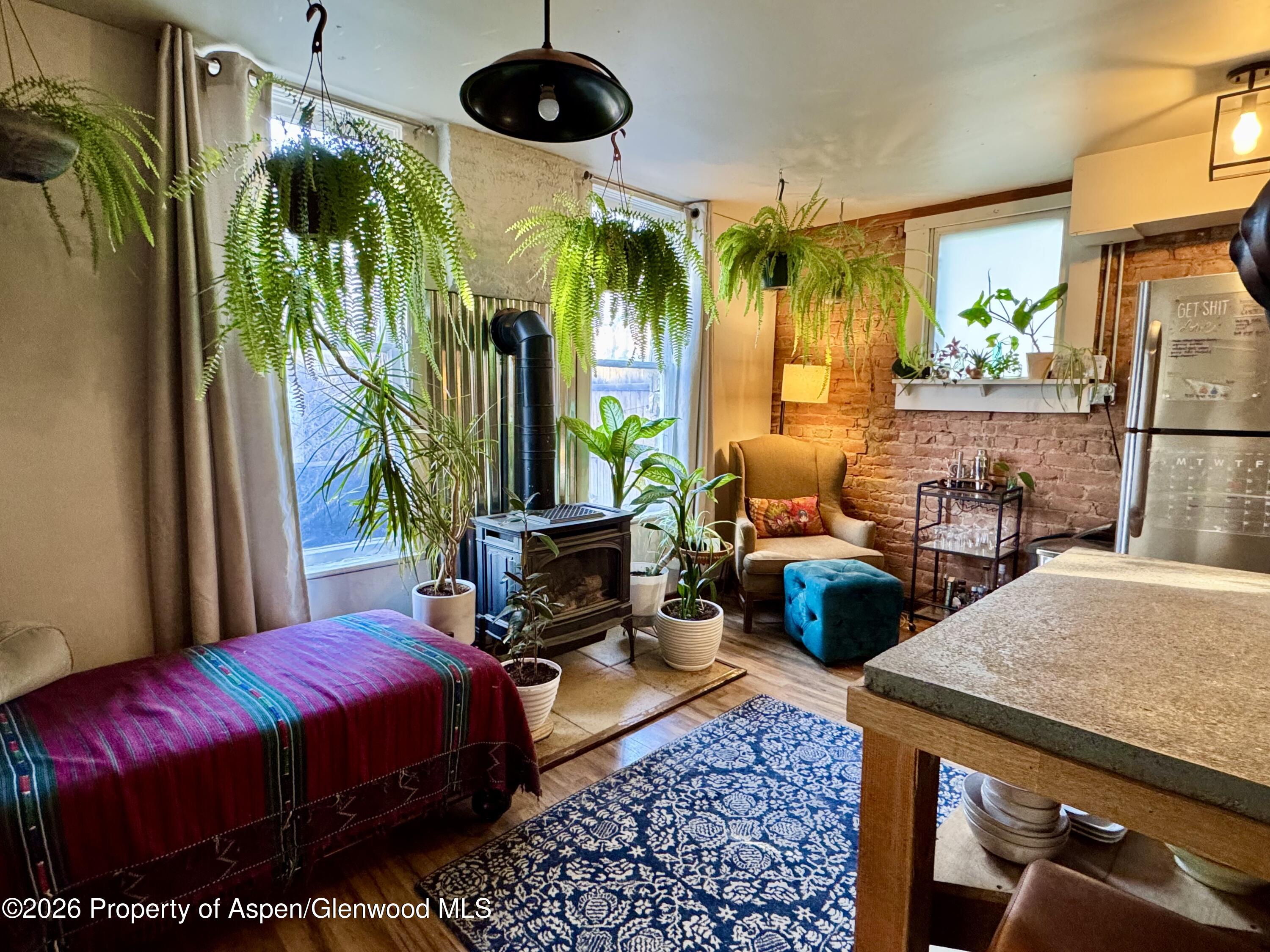 117 N 8th Street Carbondale CO 81623