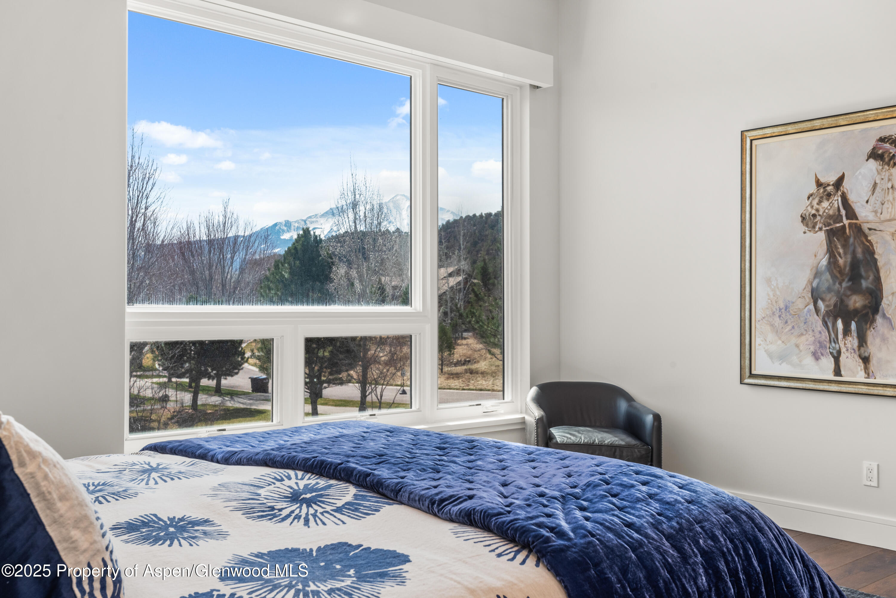 3898 Crystal Bridge Drive Carbondale CO 81623