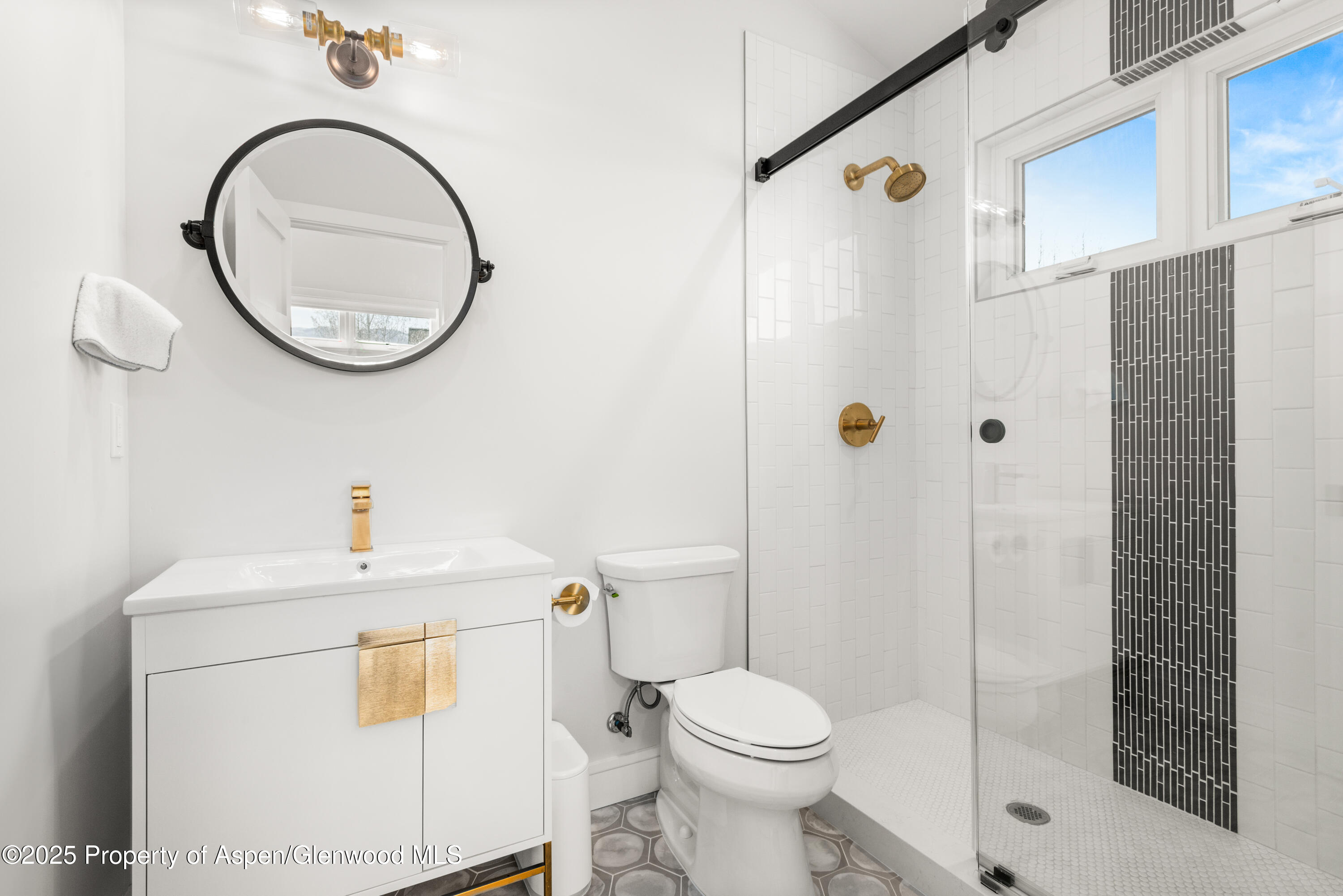 3898 Crystal Bridge Drive Carbondale CO 81623