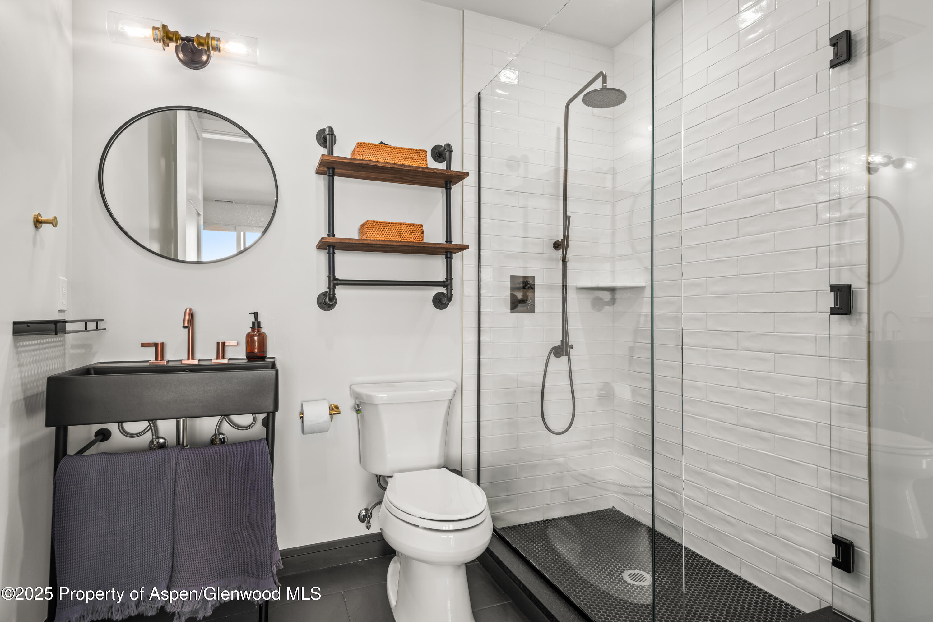 3898 Crystal Bridge Drive Carbondale CO 81623