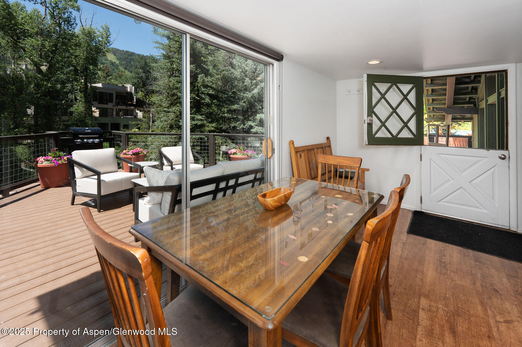 979 Queen Street Aspen CO 81611