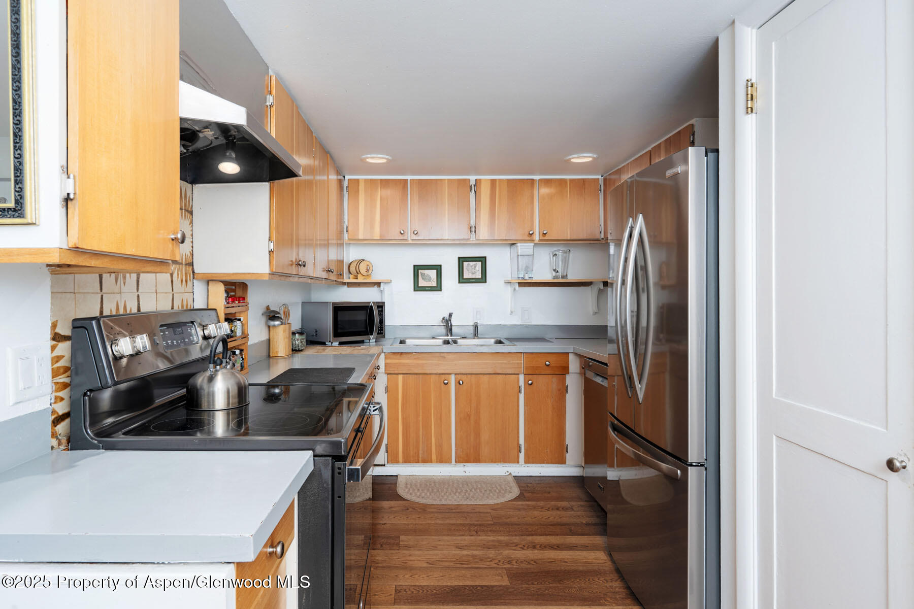 979 Queen Street Aspen CO 81611