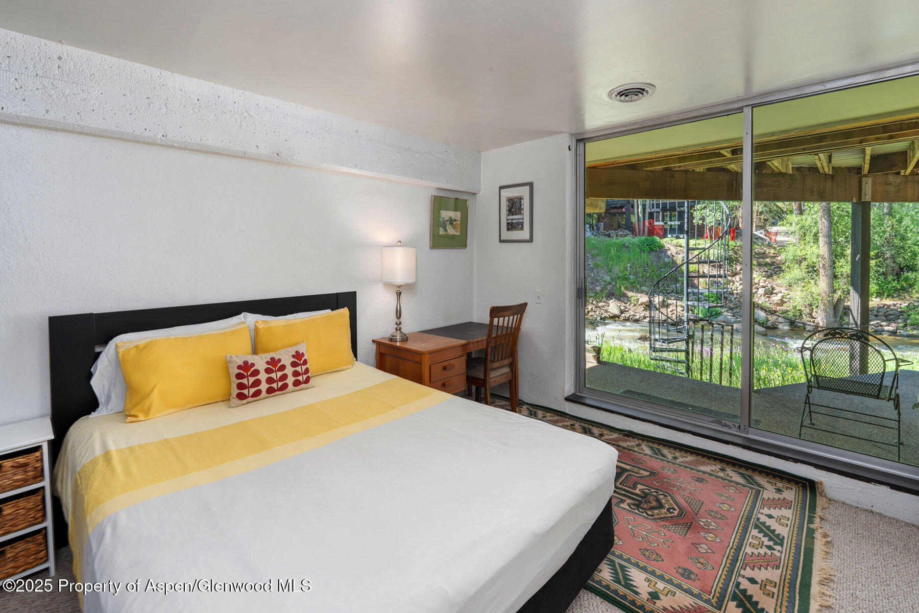 979 Queen Street Aspen CO 81611