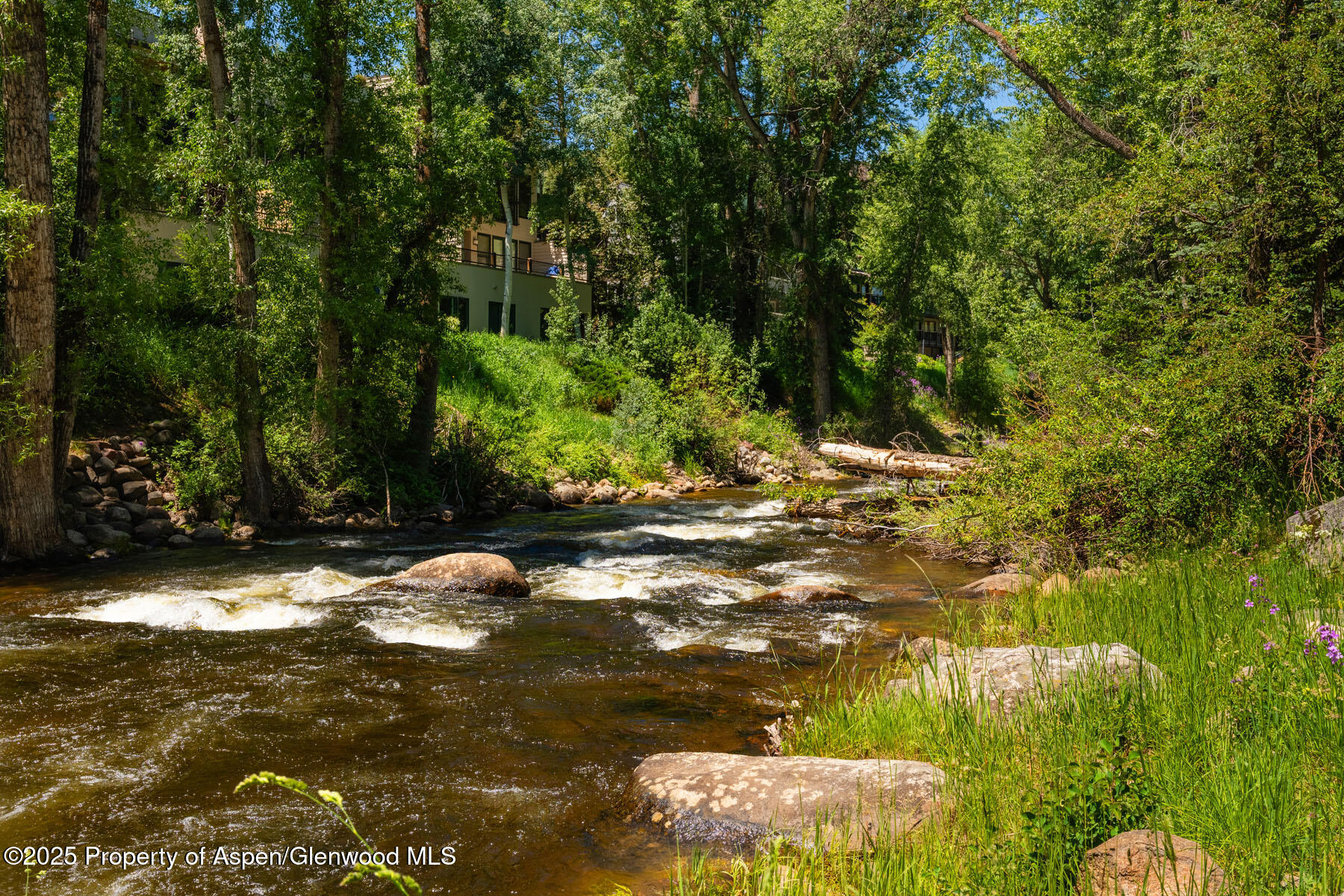 979 Queen Street Aspen CO 81611